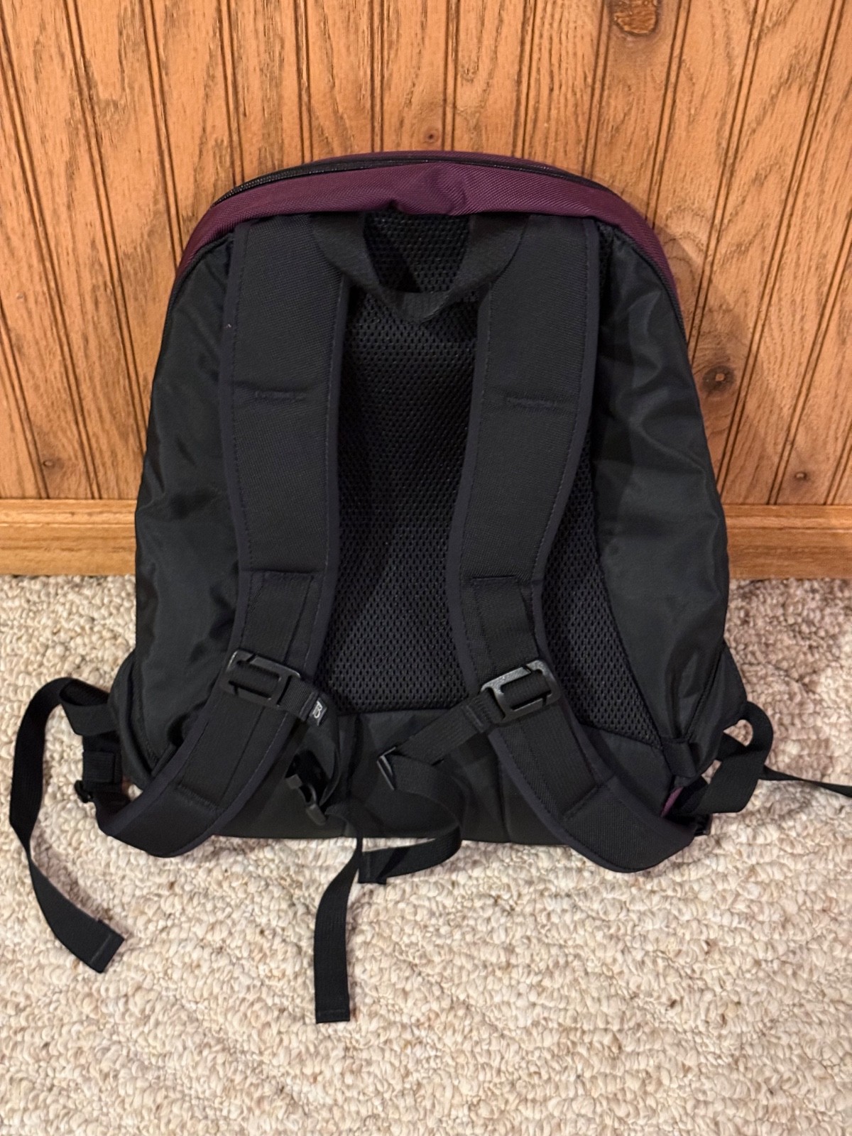 Tom Bihn Synapse 19 Backpack Aubergine Blue USA EDC Daypack