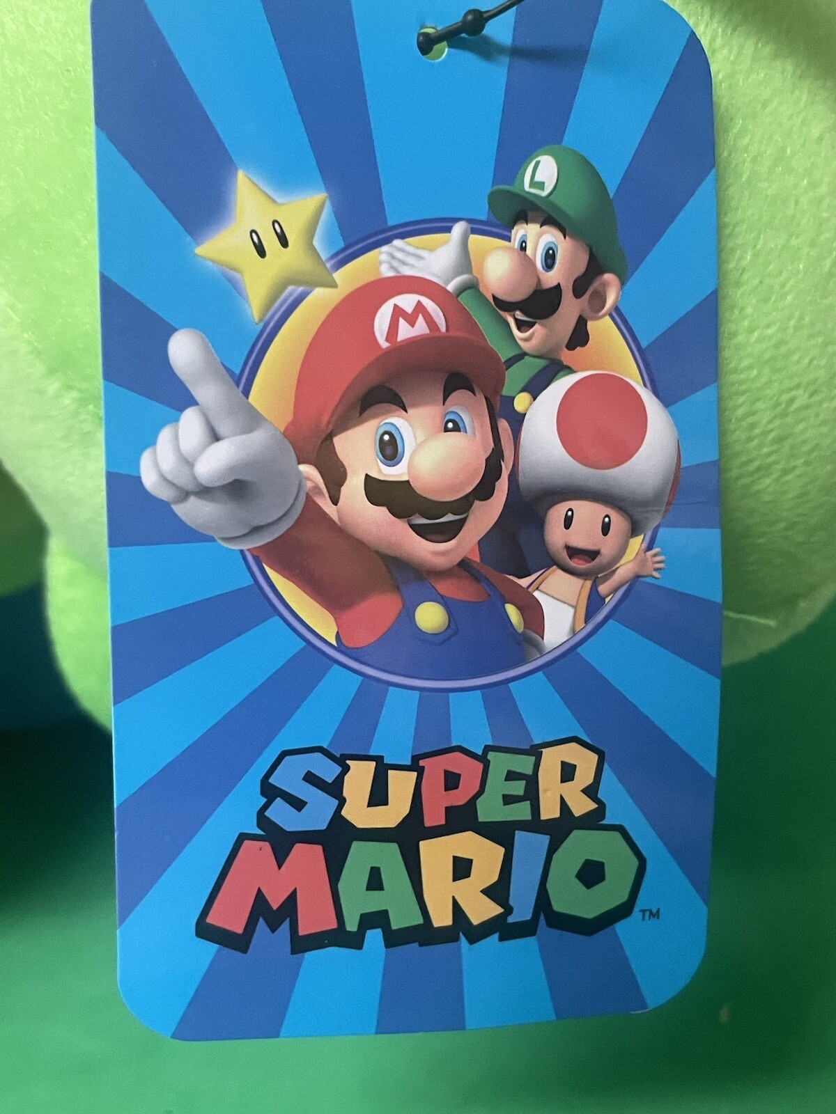 Nintendo Super Mario Bros Luigi 17″ inches Boys Kids Soft Plush Doll Backpack