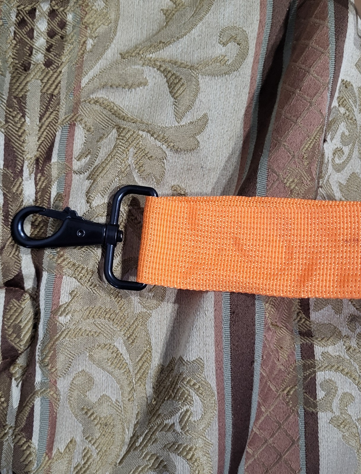 Dalix Premium Replacement Strap With Pad