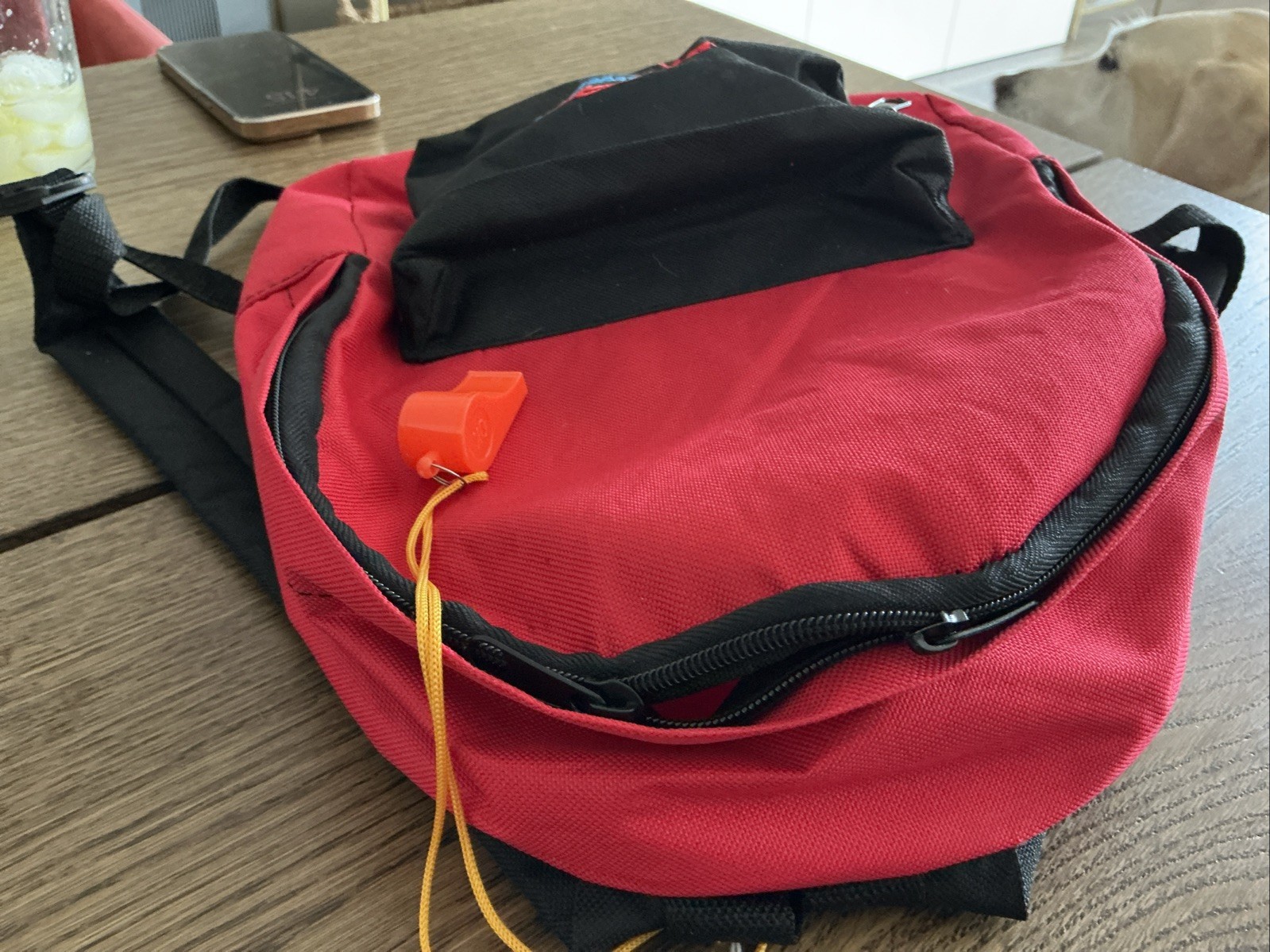 Ready America Small Red Backpack School Books Hiking Camping-12×10 In
