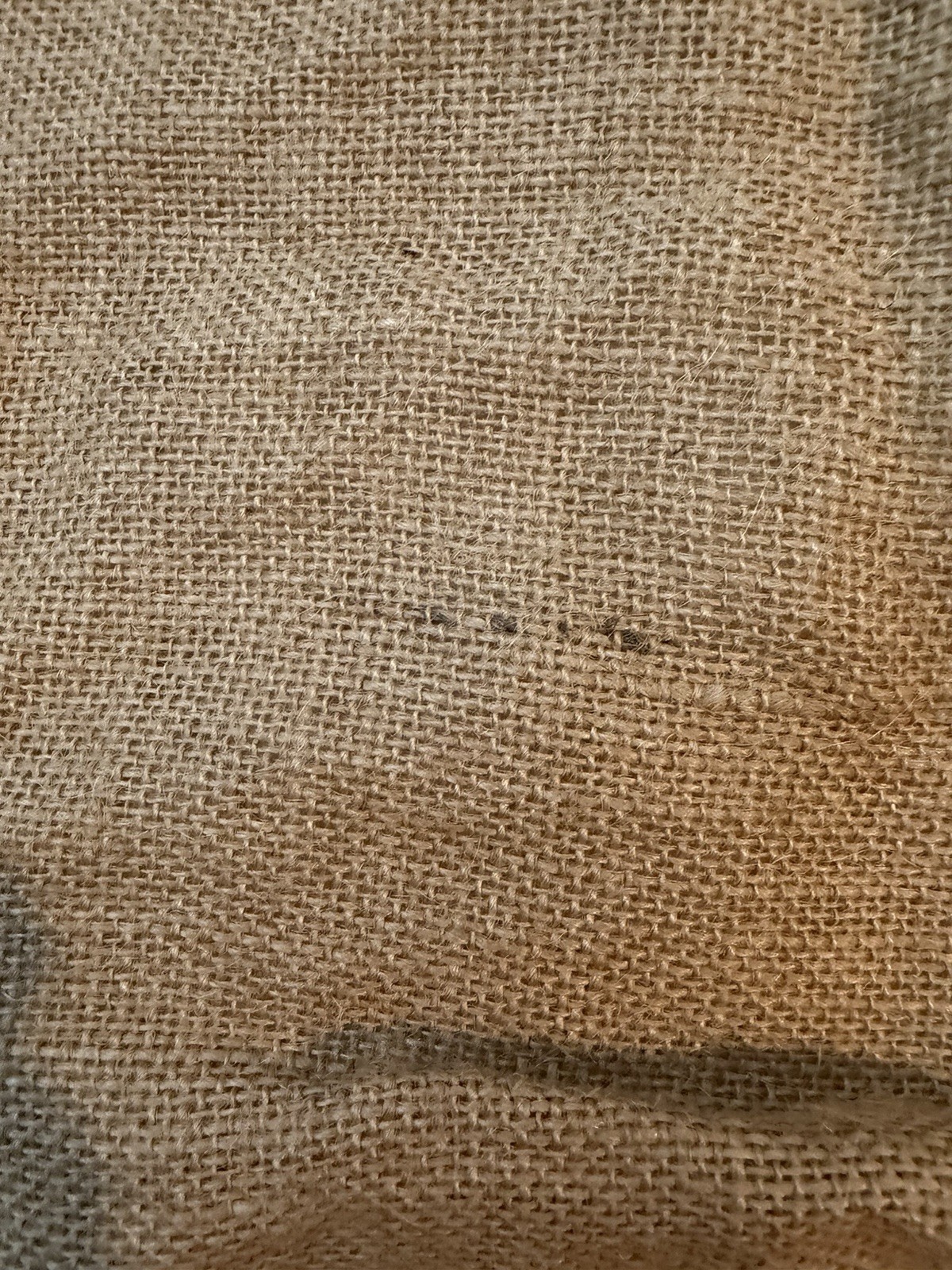 National Geographic WILD “Get Closer” Burlap Eco Shoulder Shopper Tote LINED