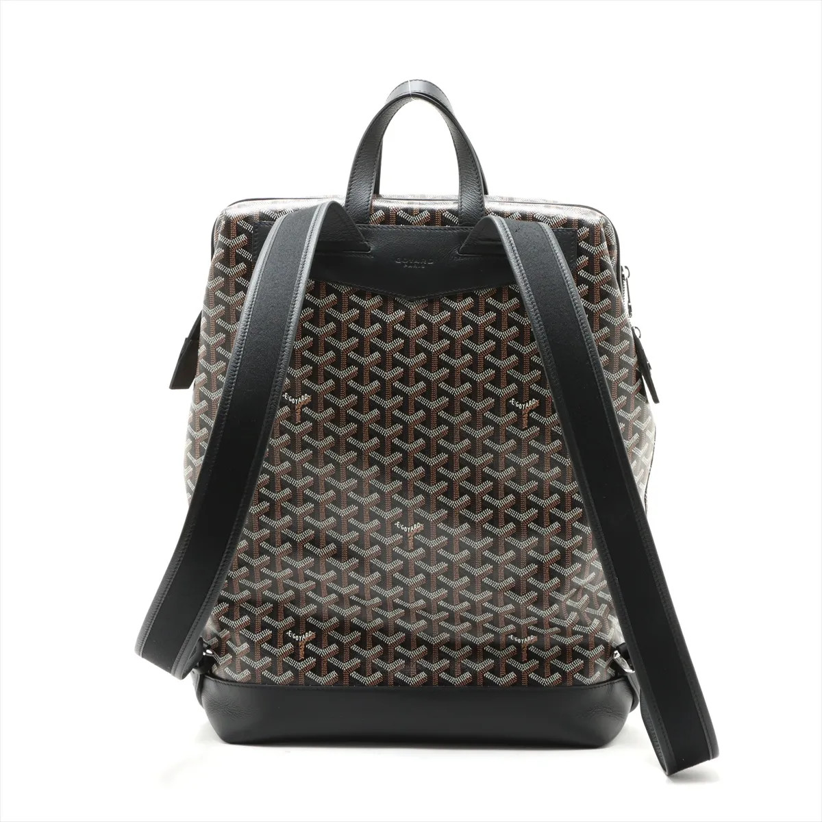 Goyard Sisalpan PVCx leather Backpack Black