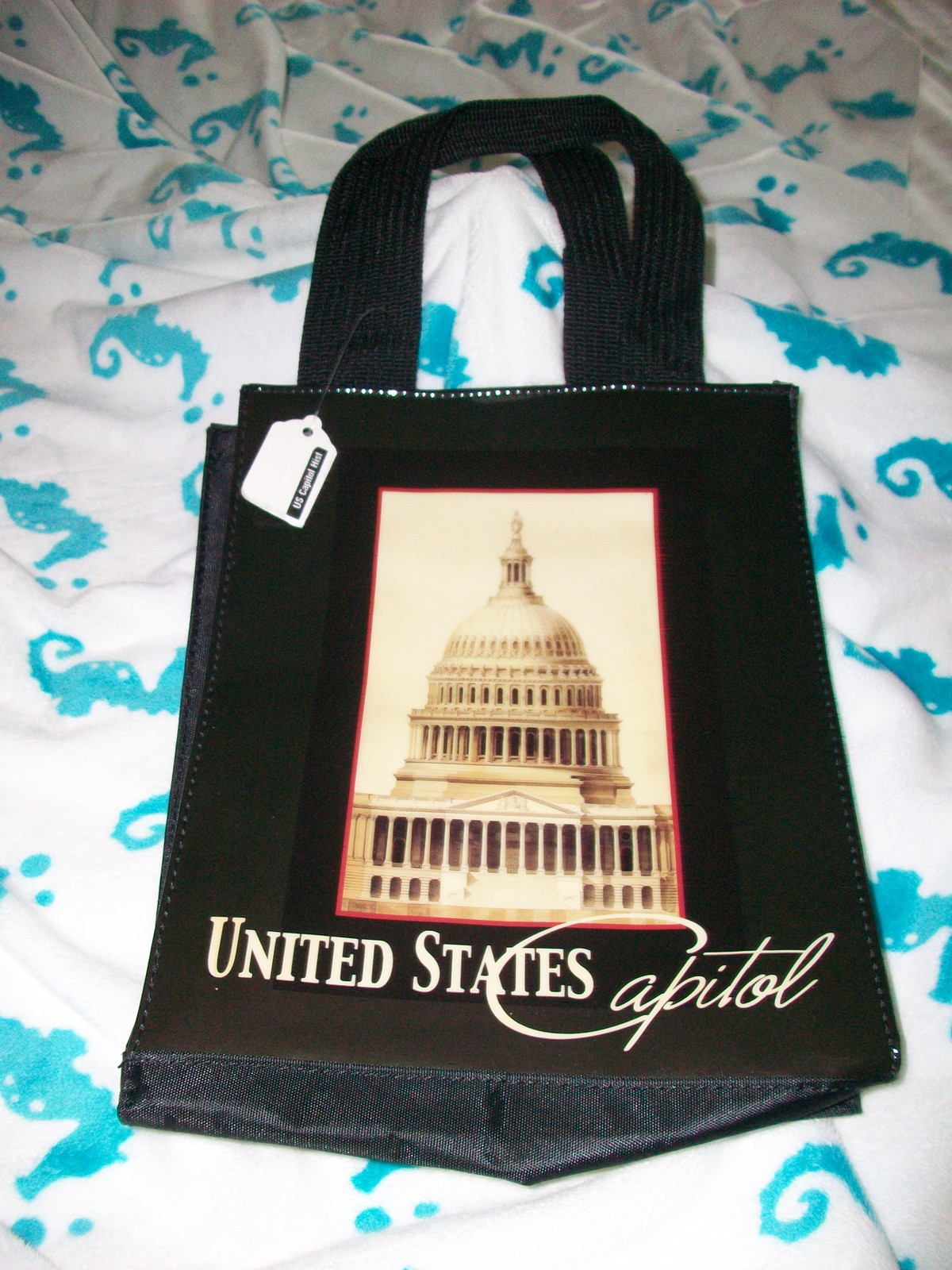 washington d.c. united states capitol hand bag shopping tote NWT