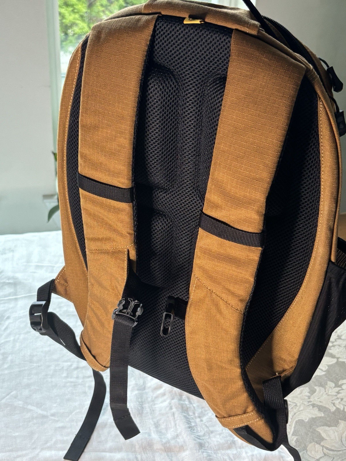 Carhartt Cargo Series 20L Daypack Nylon Mesh Backpack 2022 Hook & Haul no cooler