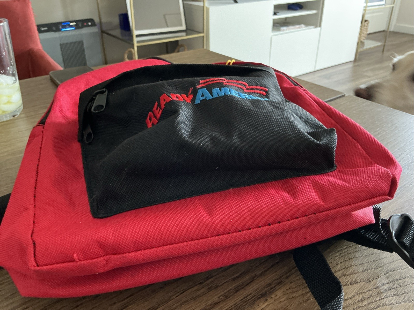 Ready America Small Red Backpack School Books Hiking Camping-12×10 In
