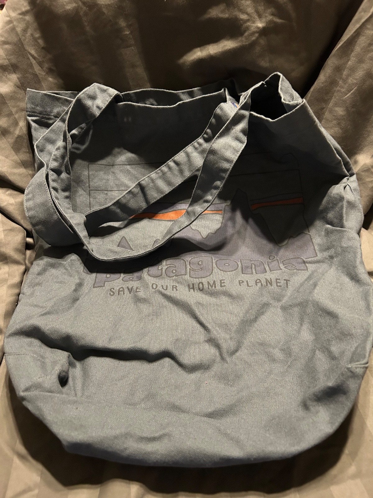 Patagonia Blue Grey Tote Bag