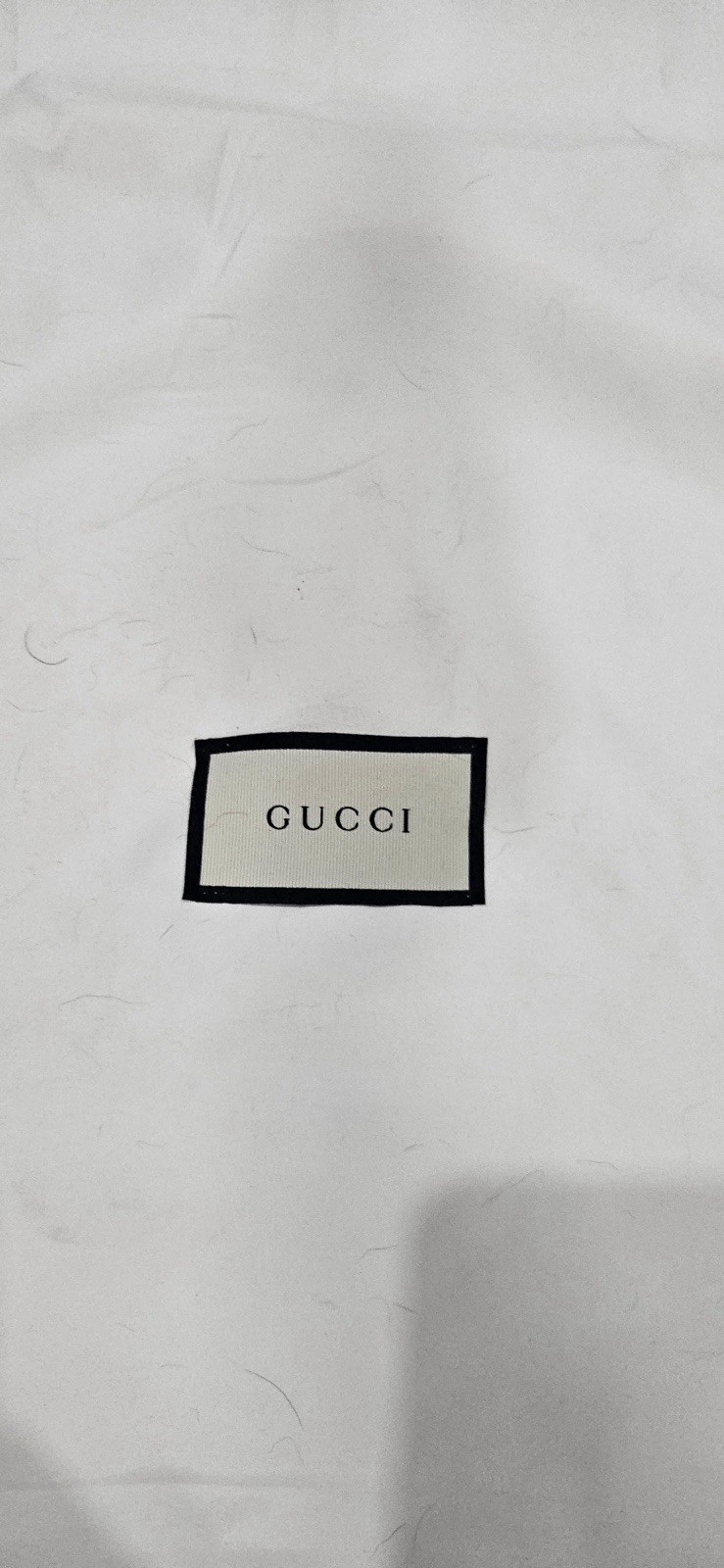 King Snake Gucci back pack. Lightly used.