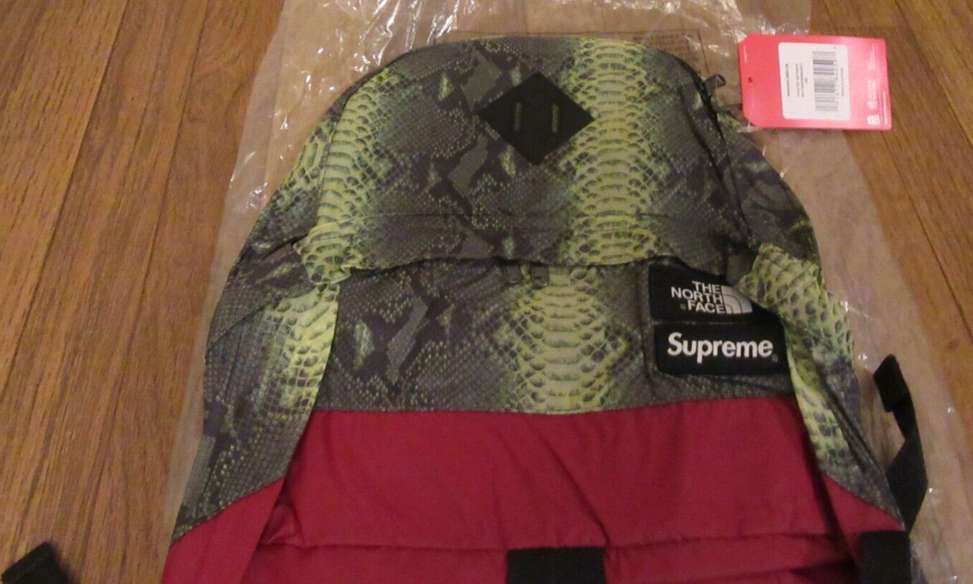Supreme The North Face Lightweight Daypack Backpack Snake Green SS18 Brand New