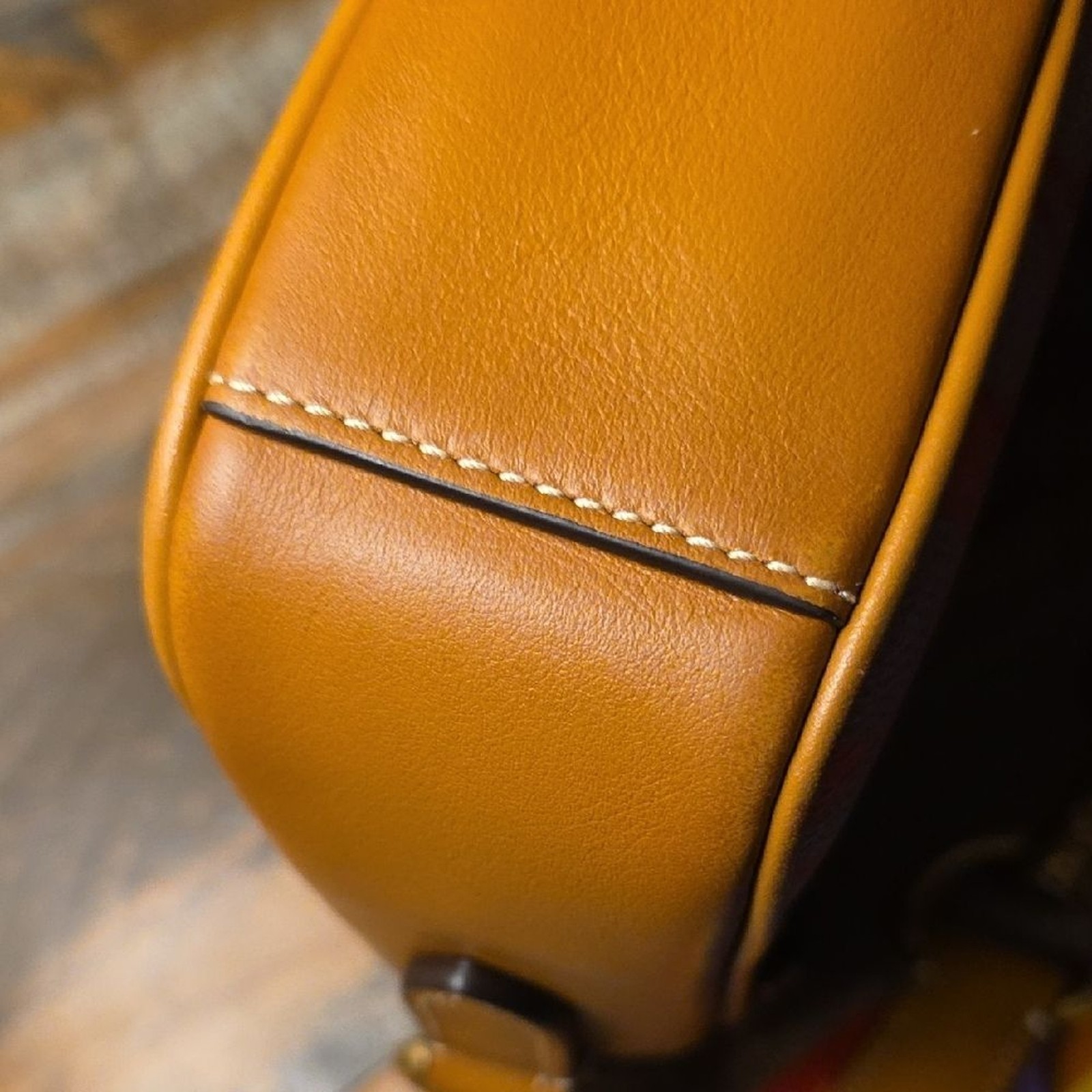 Coach Multicolor Crossbody Bag with Rainbow Strap
