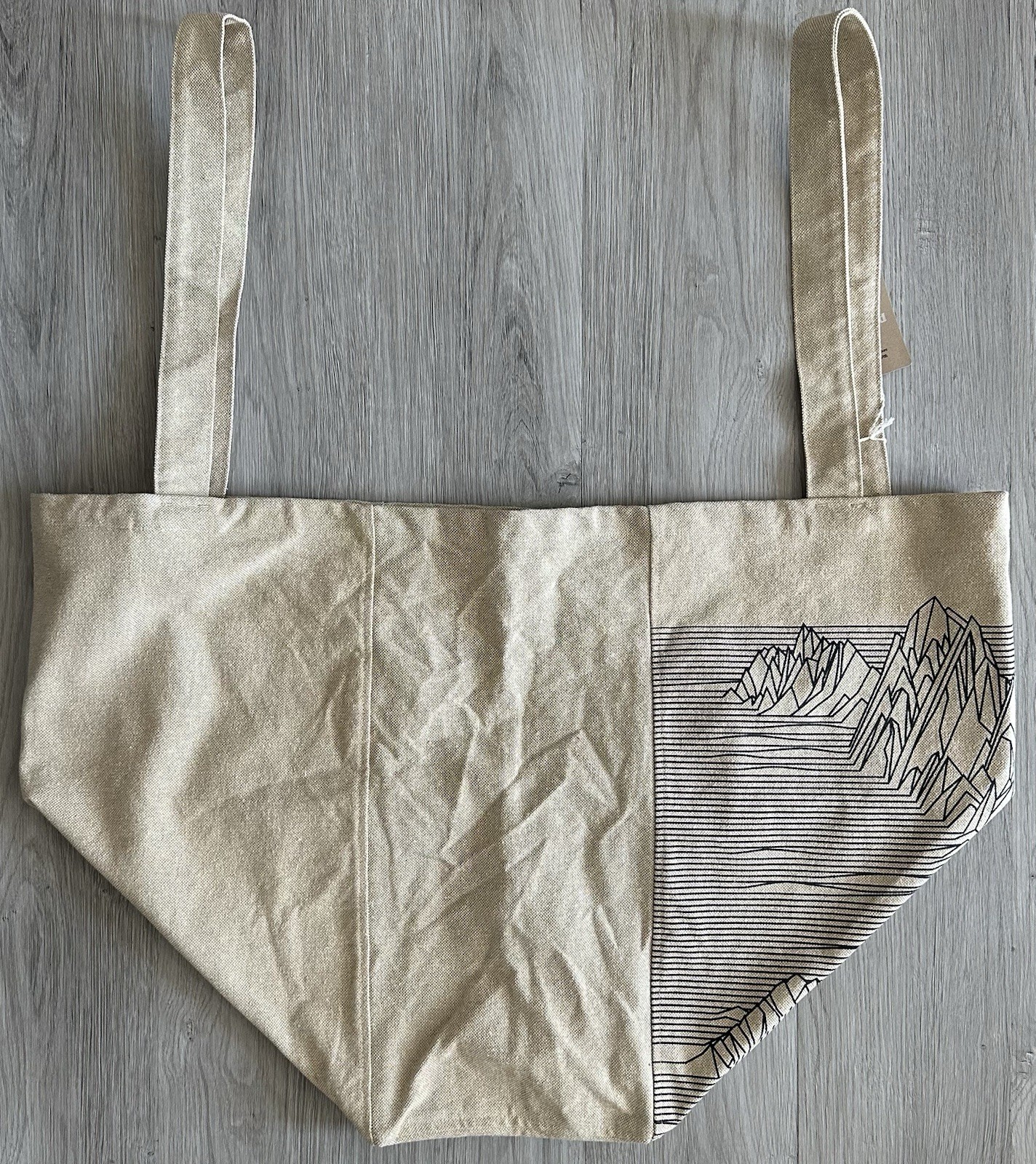 Patagonia Tote Bag Fitz Roy Mountain Extra Large Canvas Eco Beach Grocery NWT