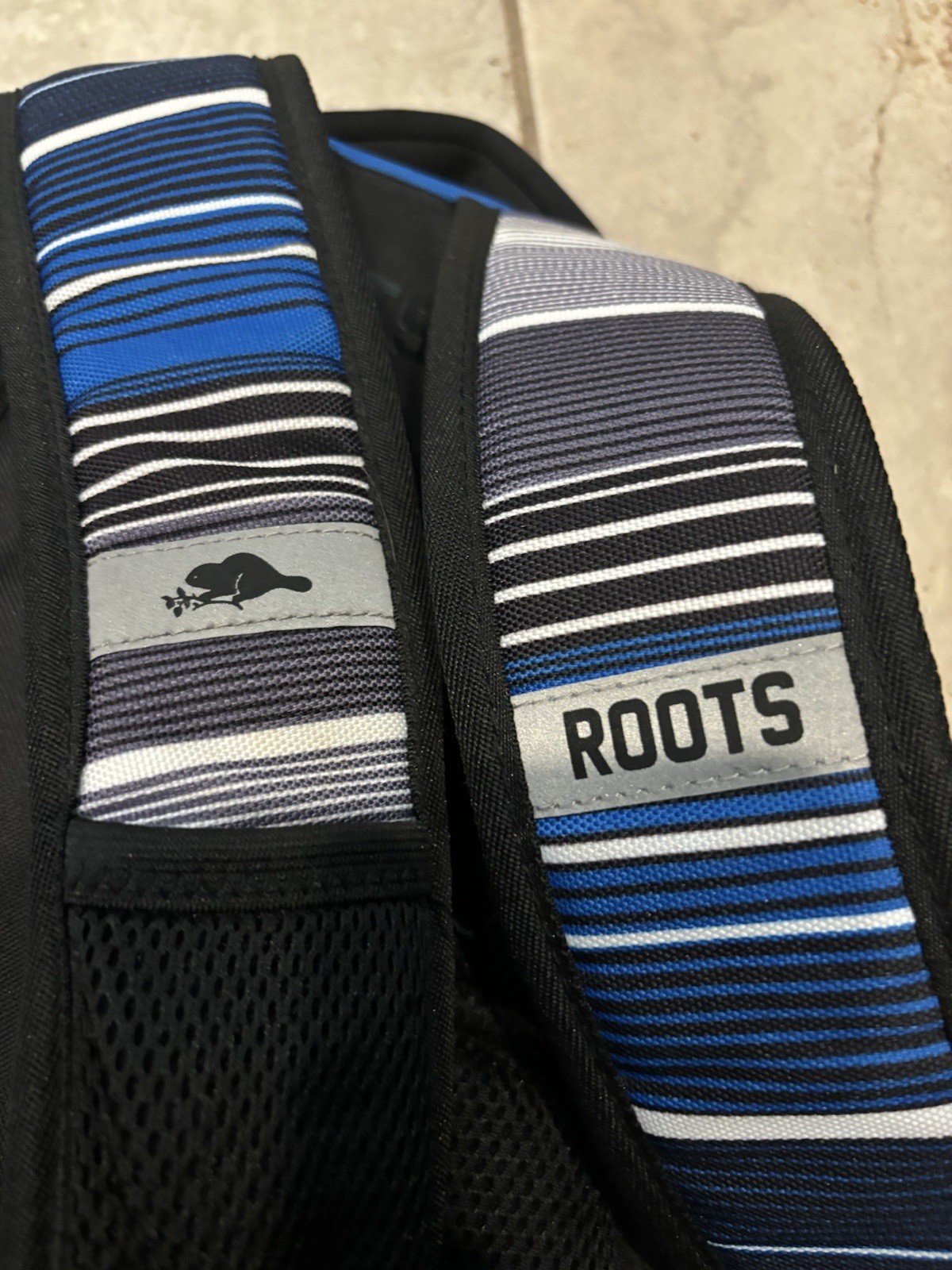 Roots Backpack Book Bag 6 Zipped Beaver Blue Striped Y2K School Canada