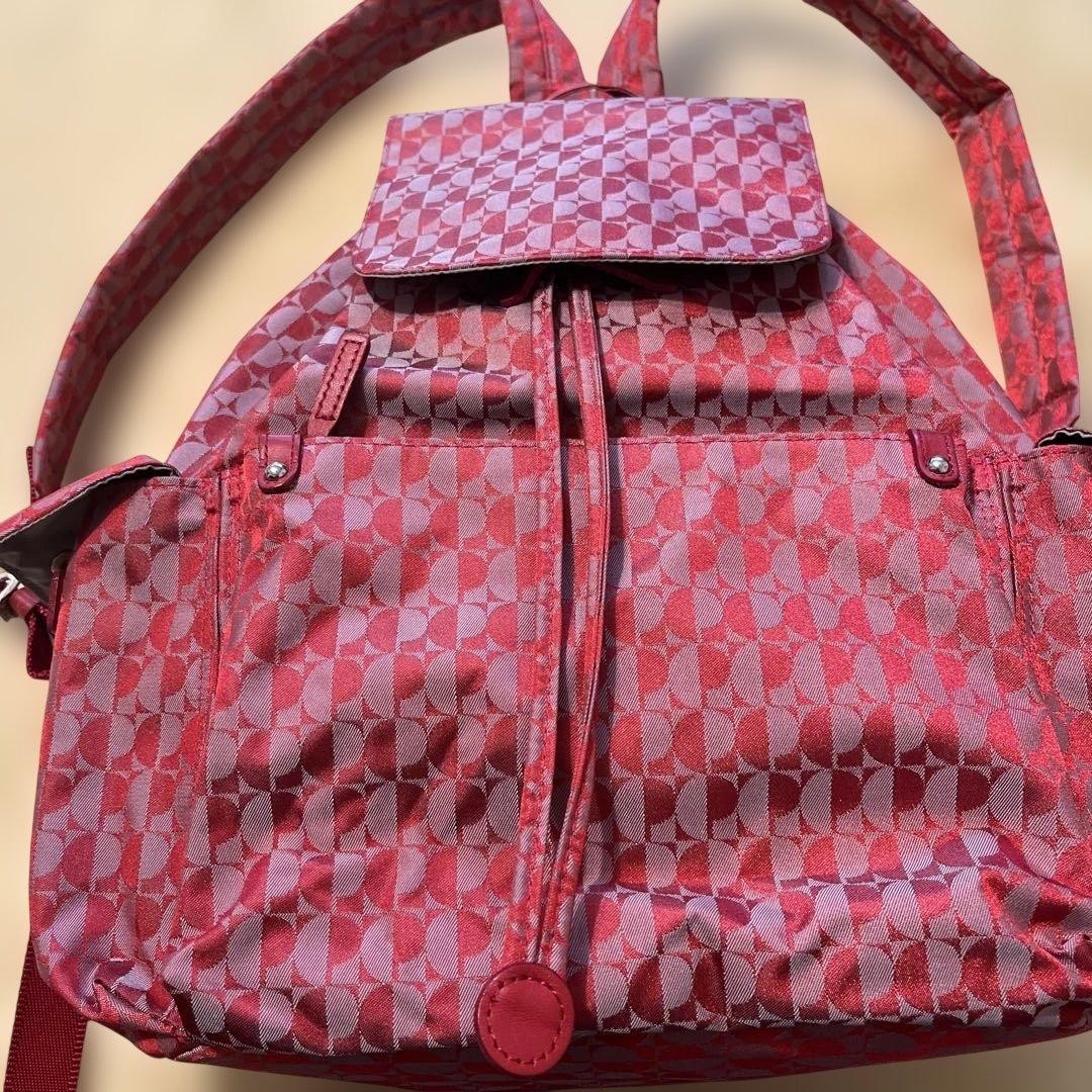Pierre Cardin Disposer Bag