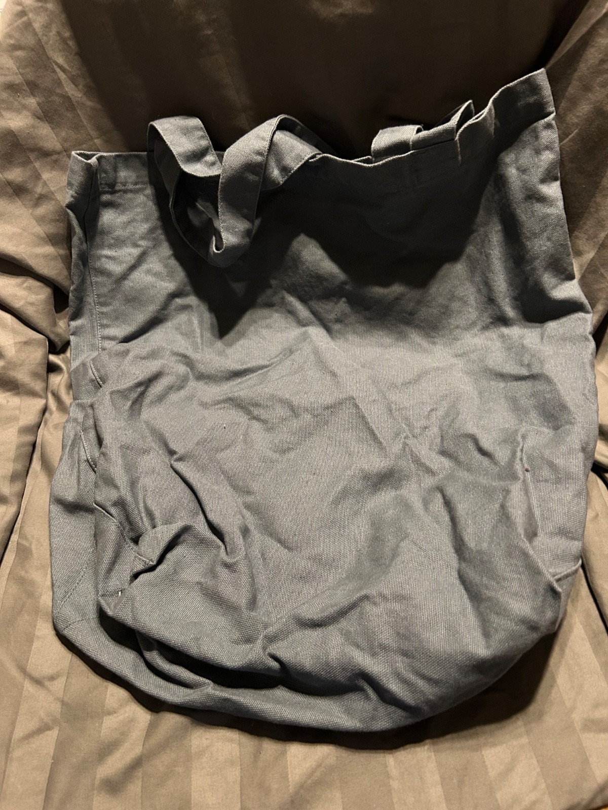 Patagonia Blue Grey Tote Bag