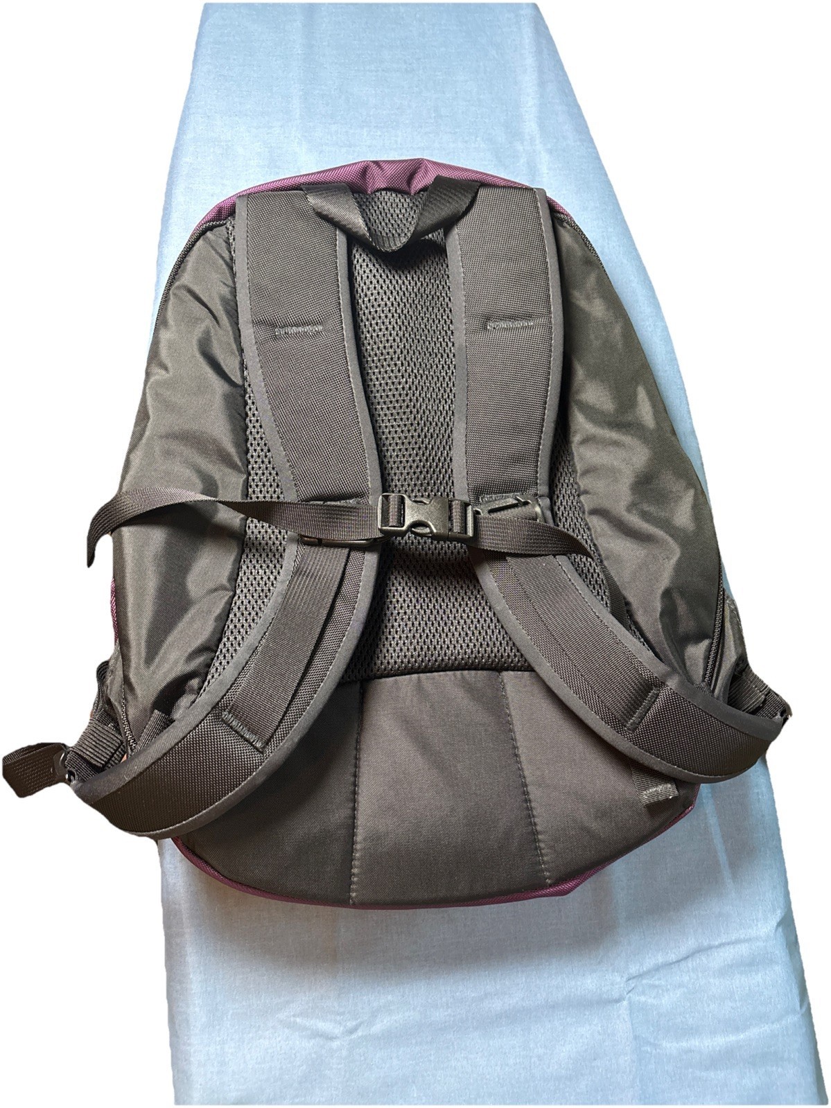 Tom Bihn Synapse 19 Backpack Aubergine Blue USA EDC Daypack