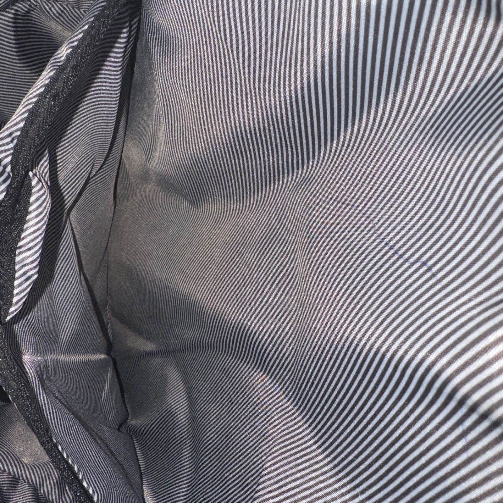 Swiss Gear Multi-Pocket Airflow Cushioned Backpack