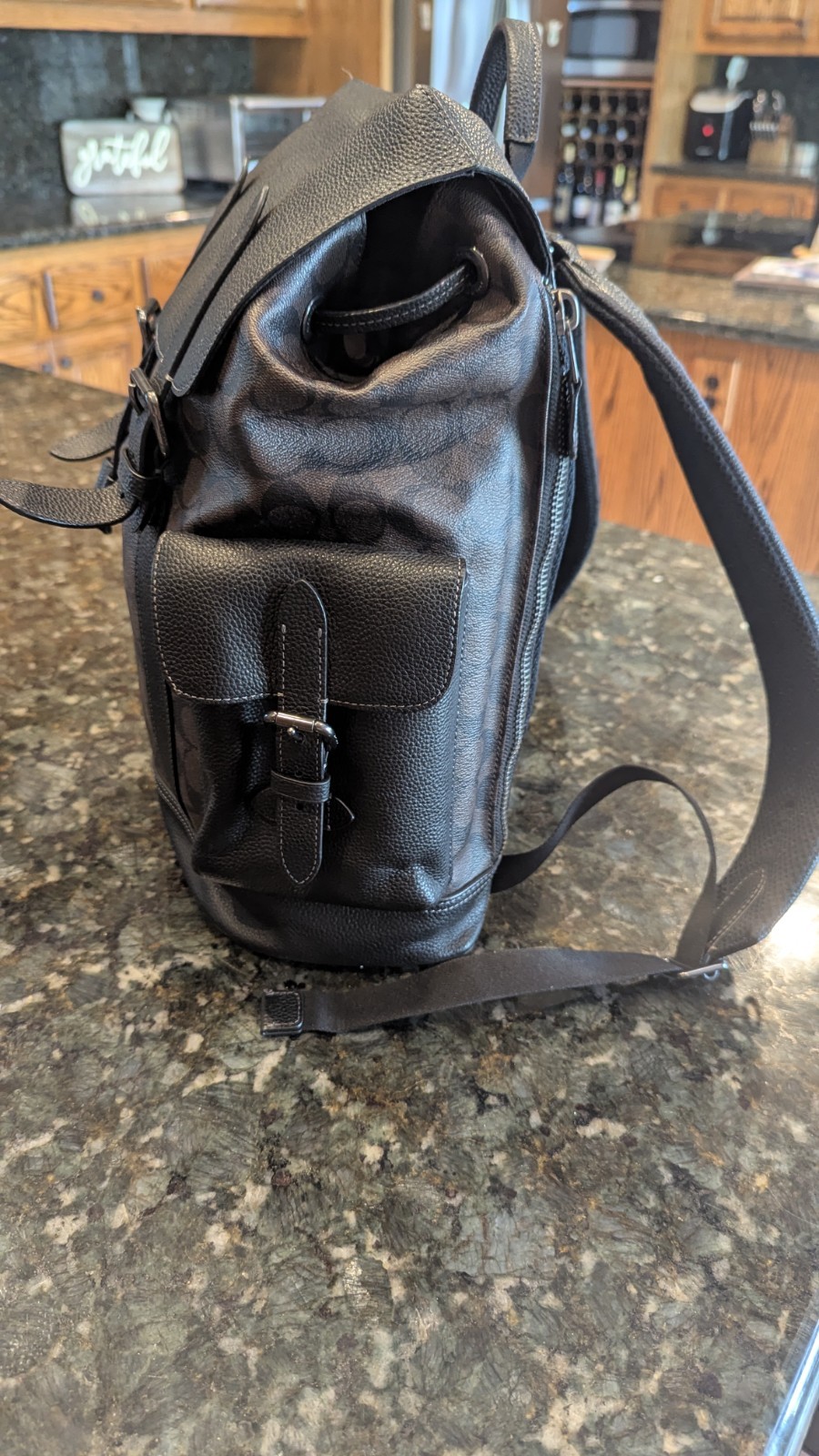 Coach Hudson Backpack Signature Canvas Black Mahogany Leather Mens CB839