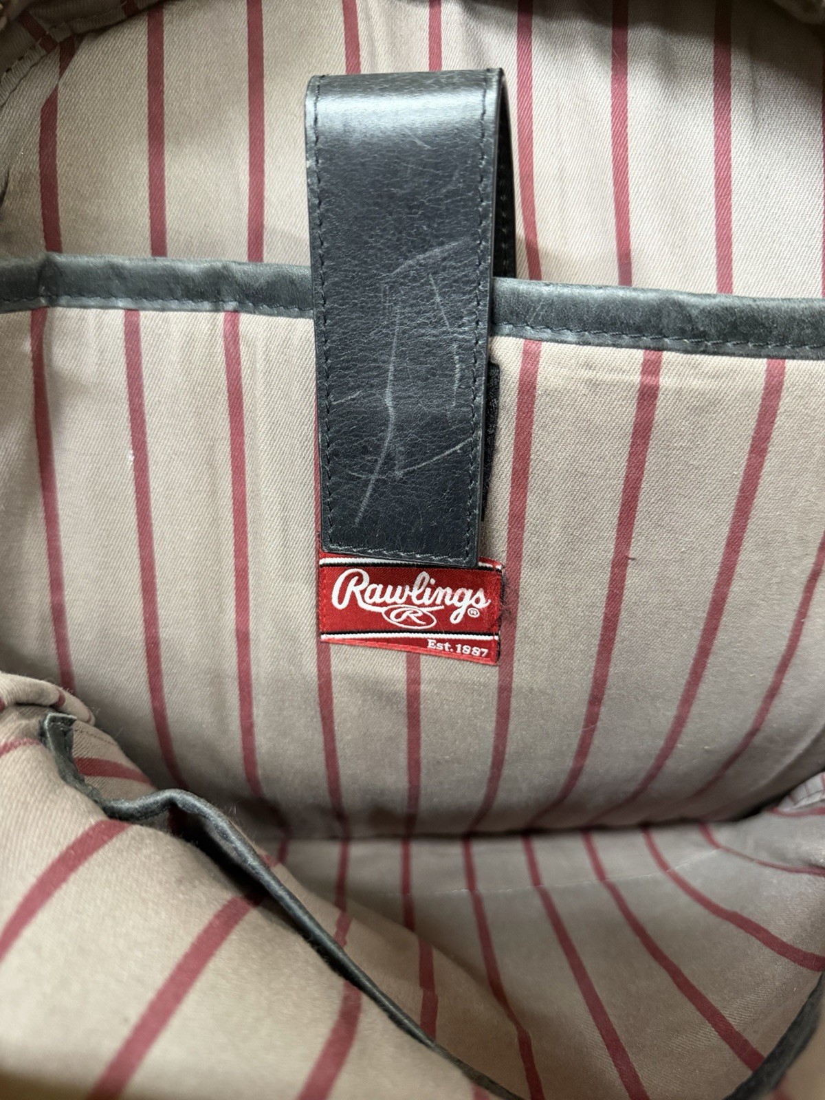 Rawlings Black Leather Rugged Backpack w/Zipper Closures & Striped Interior RARE
