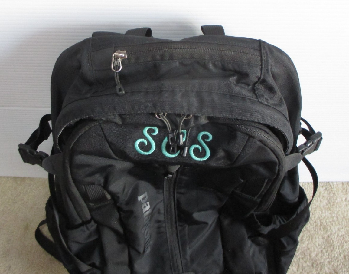 Patagonia Refugio 28 L Black Backpack