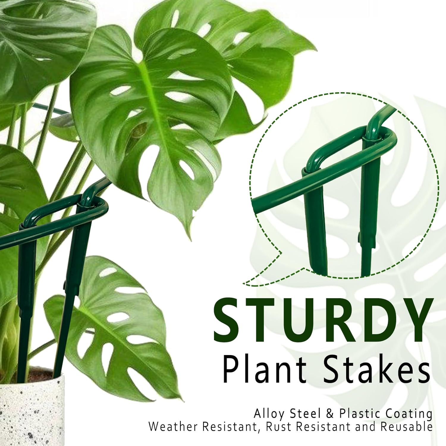 6 Pack Detachable & Assemblable Metal Plant Support Stakes – Garden Support Ring