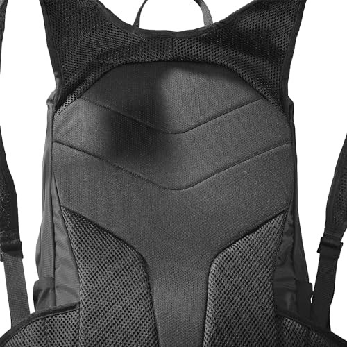 [Salomon] Trailblazer 20 Backpack (20 liters) Black/Alloy FreeJapan Shipping