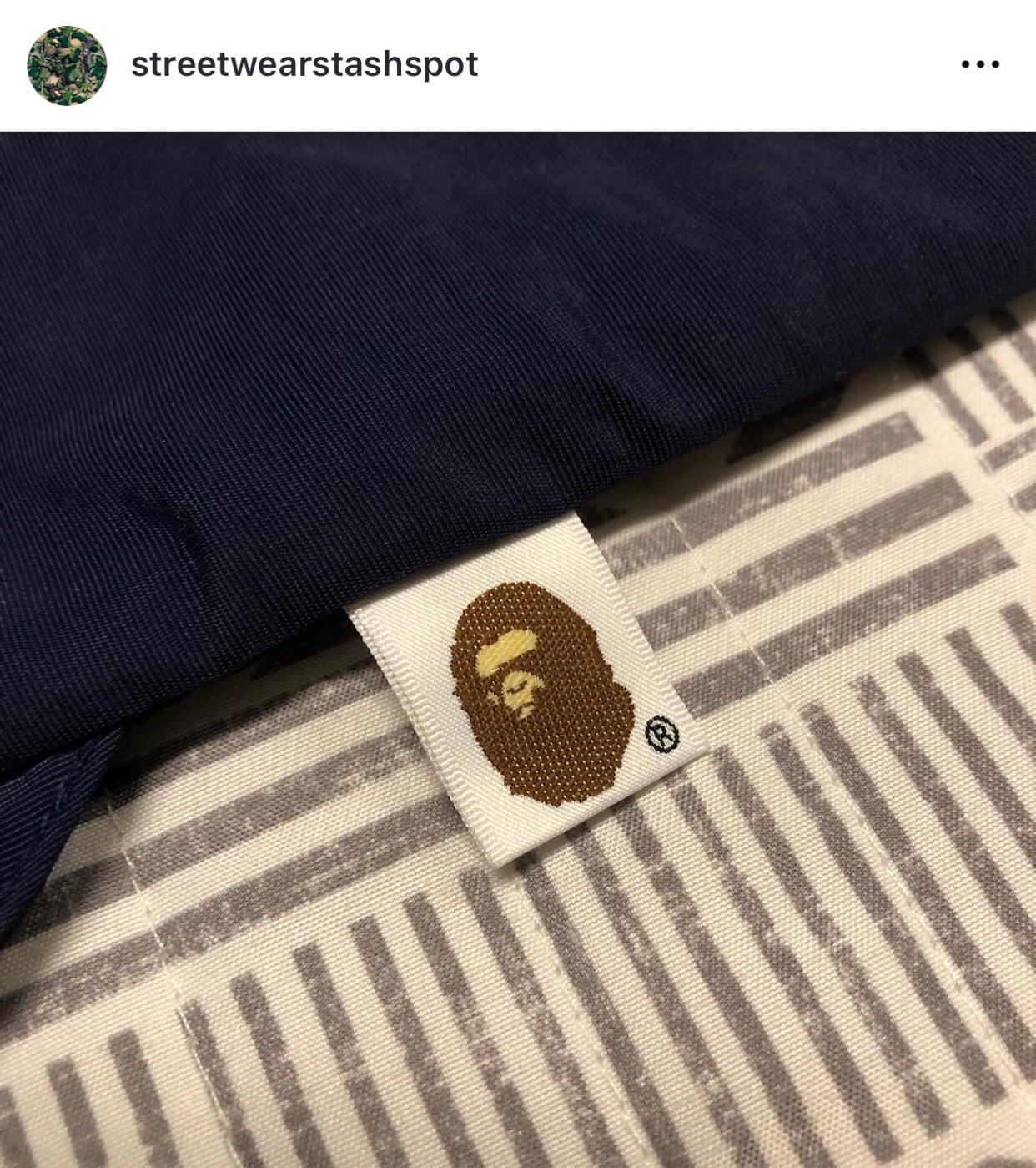 A Bathing Ape Gym Bag Size Free