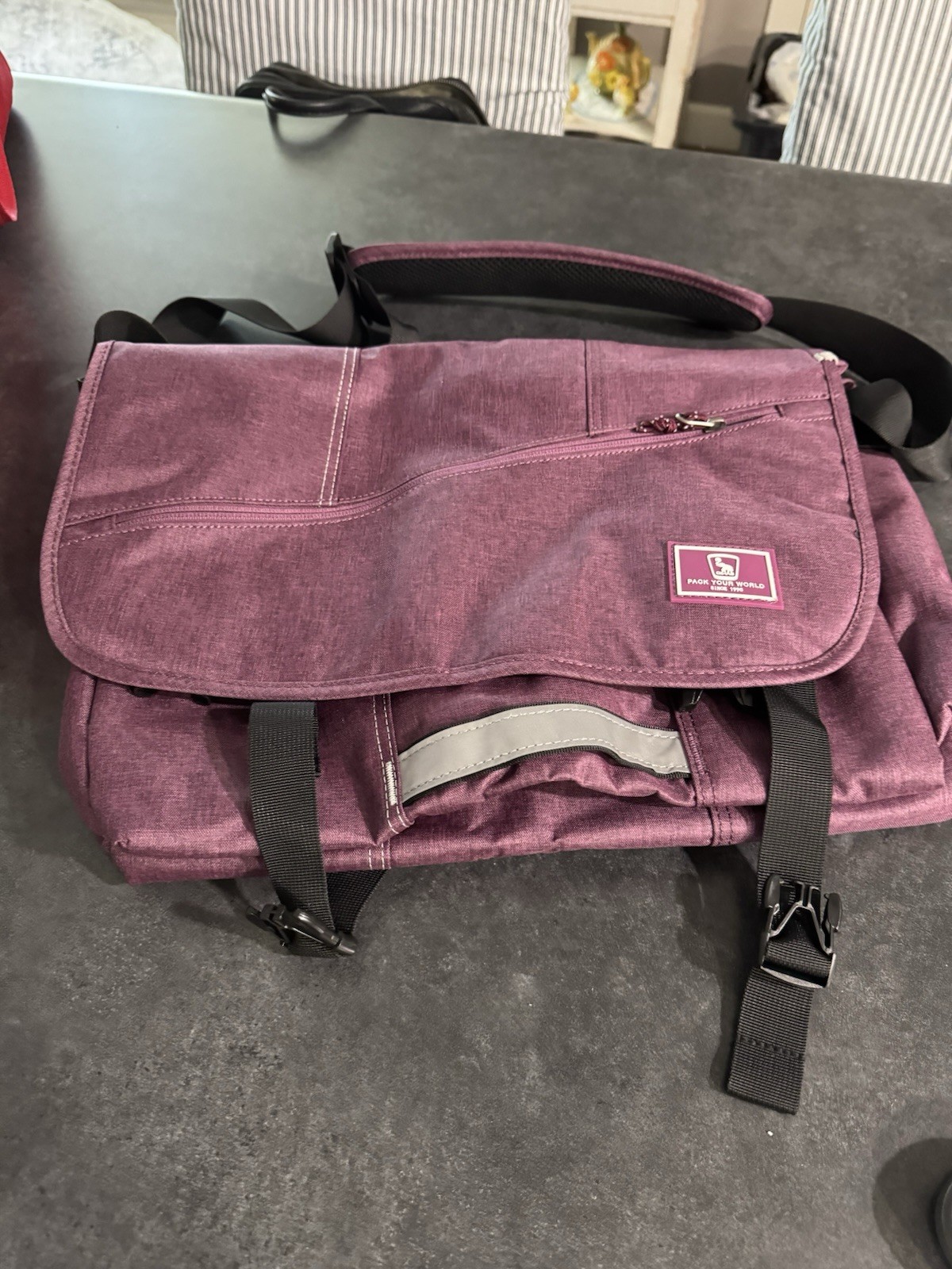 Oiwas Pack Your World Messenger Bag ~ Purple Canvas Satchel NWT