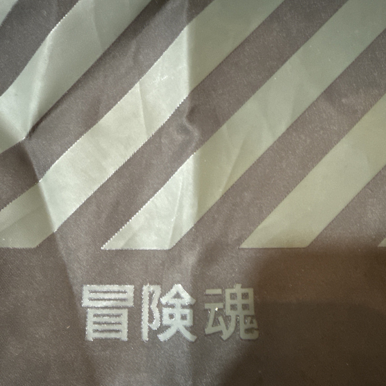 Superdry Reflective Drawstring Bag