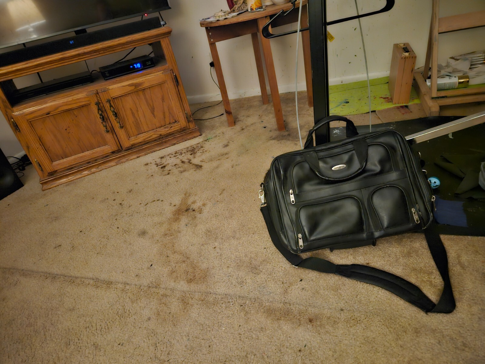 Samsonite Travel Bag. With many compartments, and very strong and rugged.