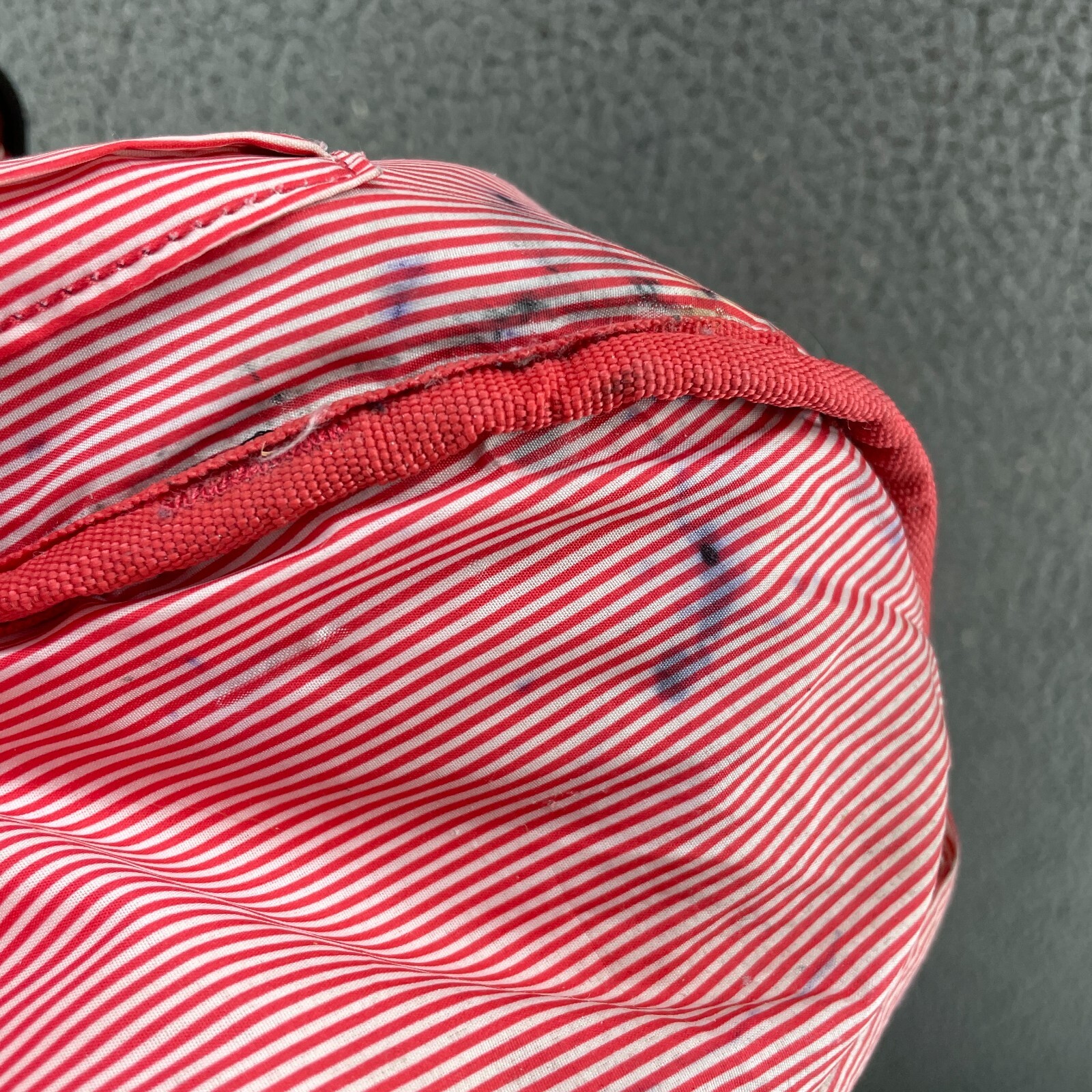Herschel Pop Quiz Canvas Backpack Black Gridlock Gold Red White Stripe Interior