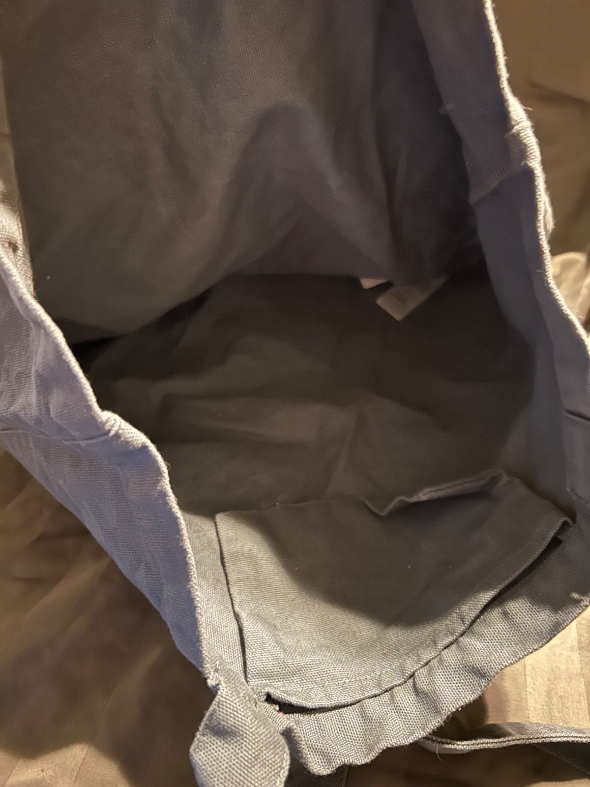 Patagonia Blue Grey Tote Bag