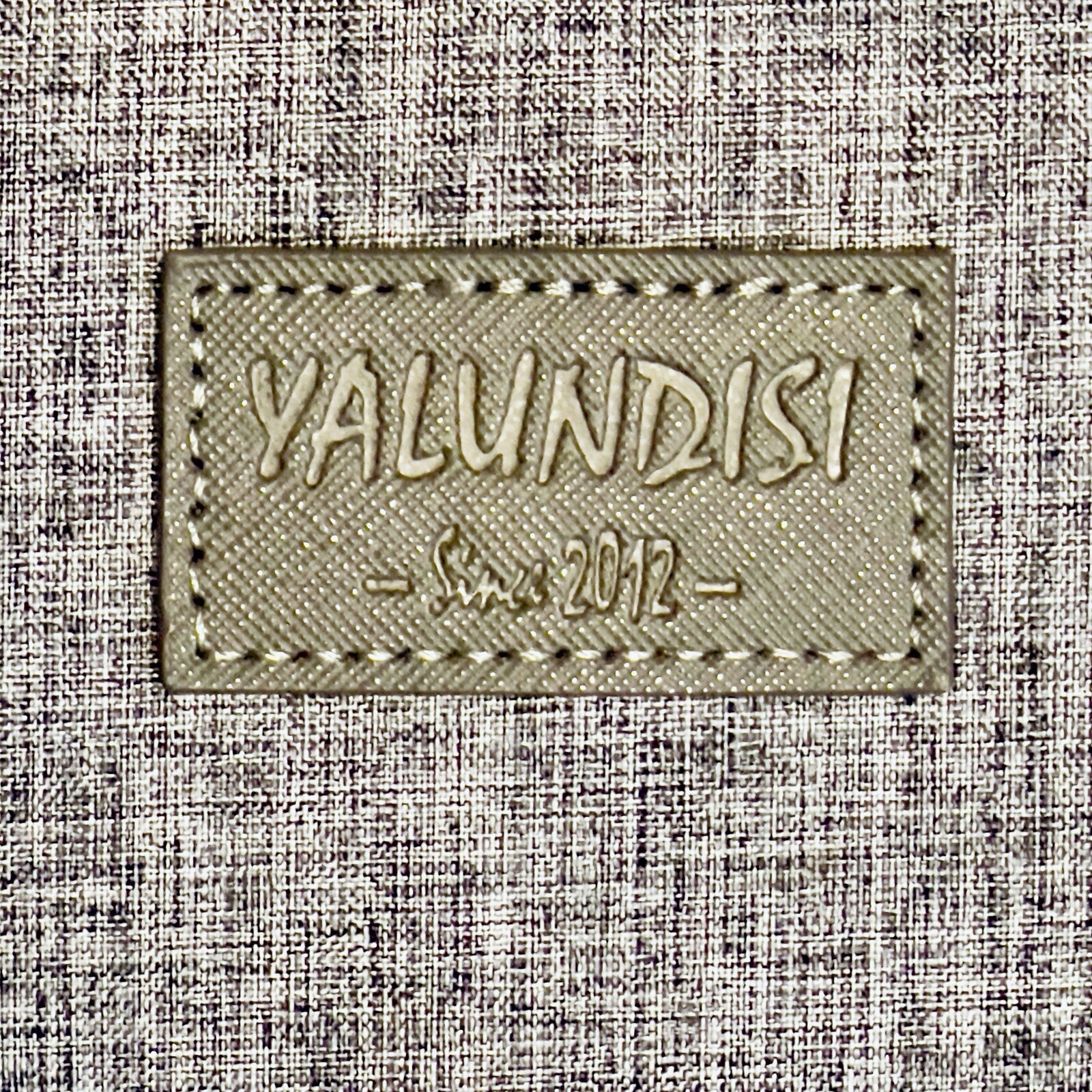 YALUNDISI Vintage Backpack With USB Travel College Laptop Flying Gray Durable