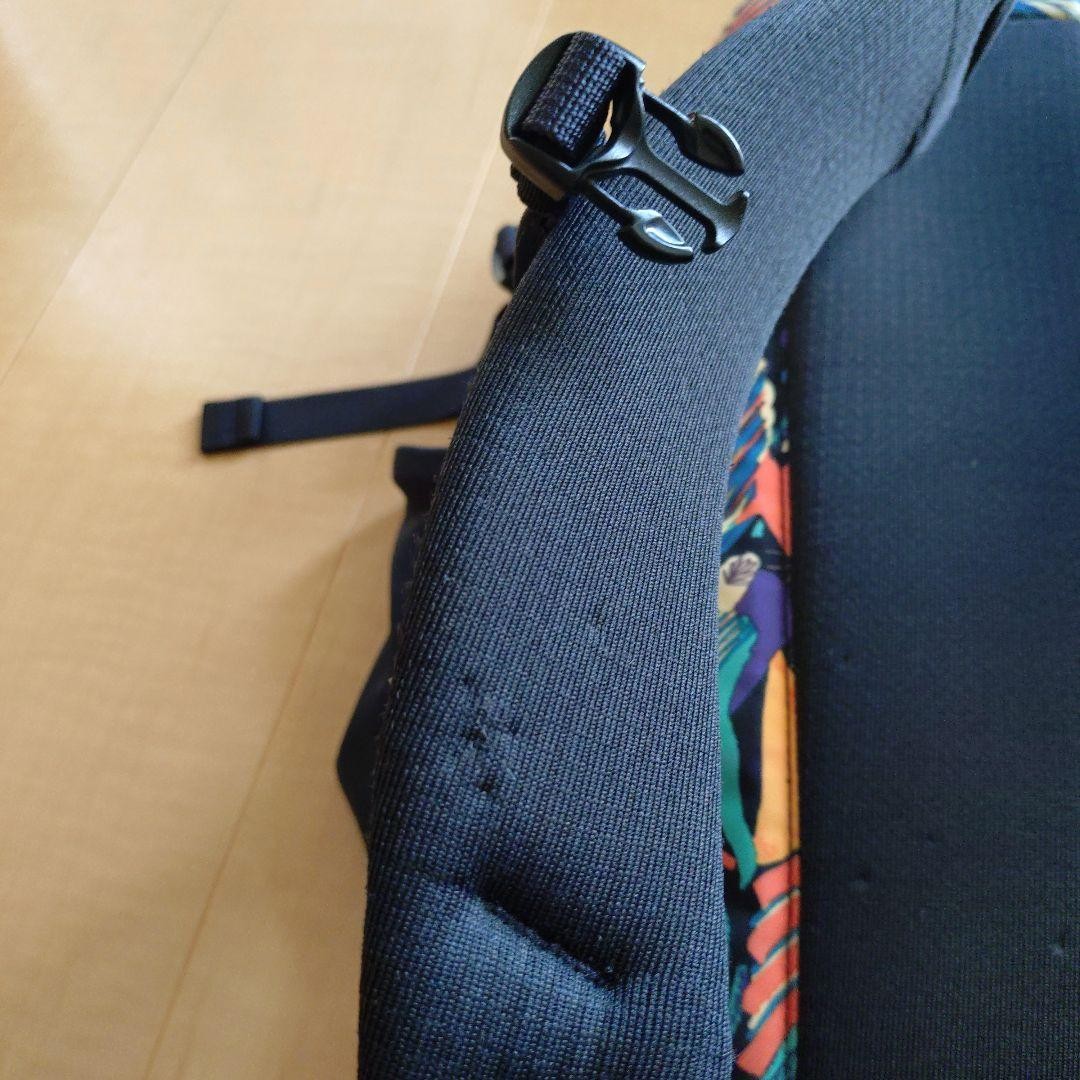 Patagonia Refugio 26L Backpack Limited 50th Anniversary Pattern Good Condition