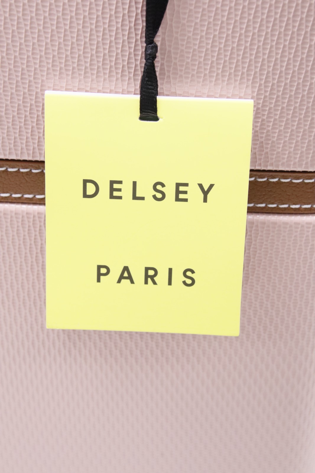 DELSEY PARIS Chatelet Air 2.0 Hardside Luggage with Spinner Wheels Light Pink