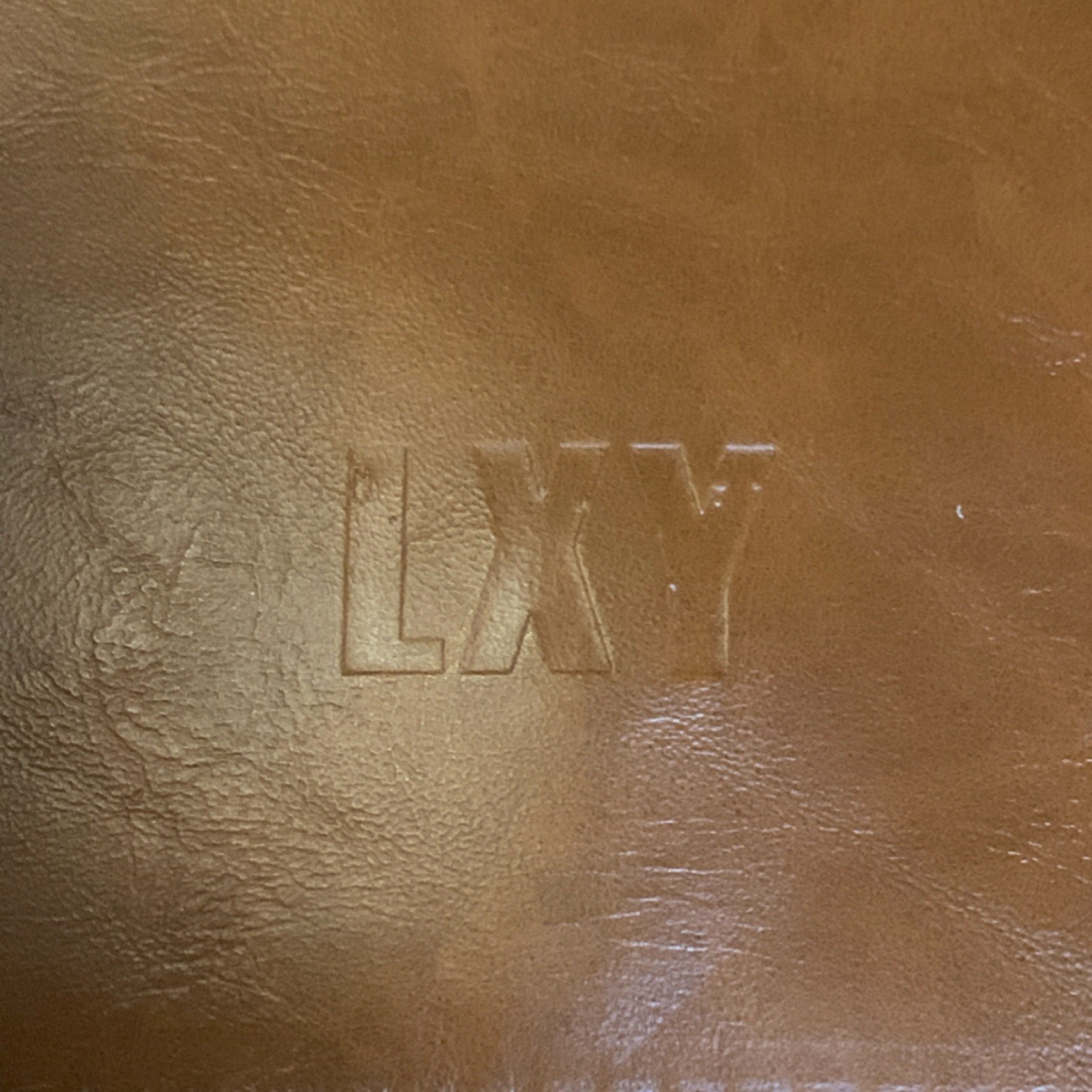 LXY Brown Men’s Backpack Buckle Flap Magnetic Snap Zip Pockets Adjustable