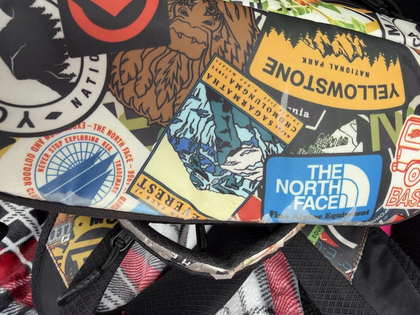 The North Face Backpack Multicolor Sticker Print Kaban FlexVent Japan