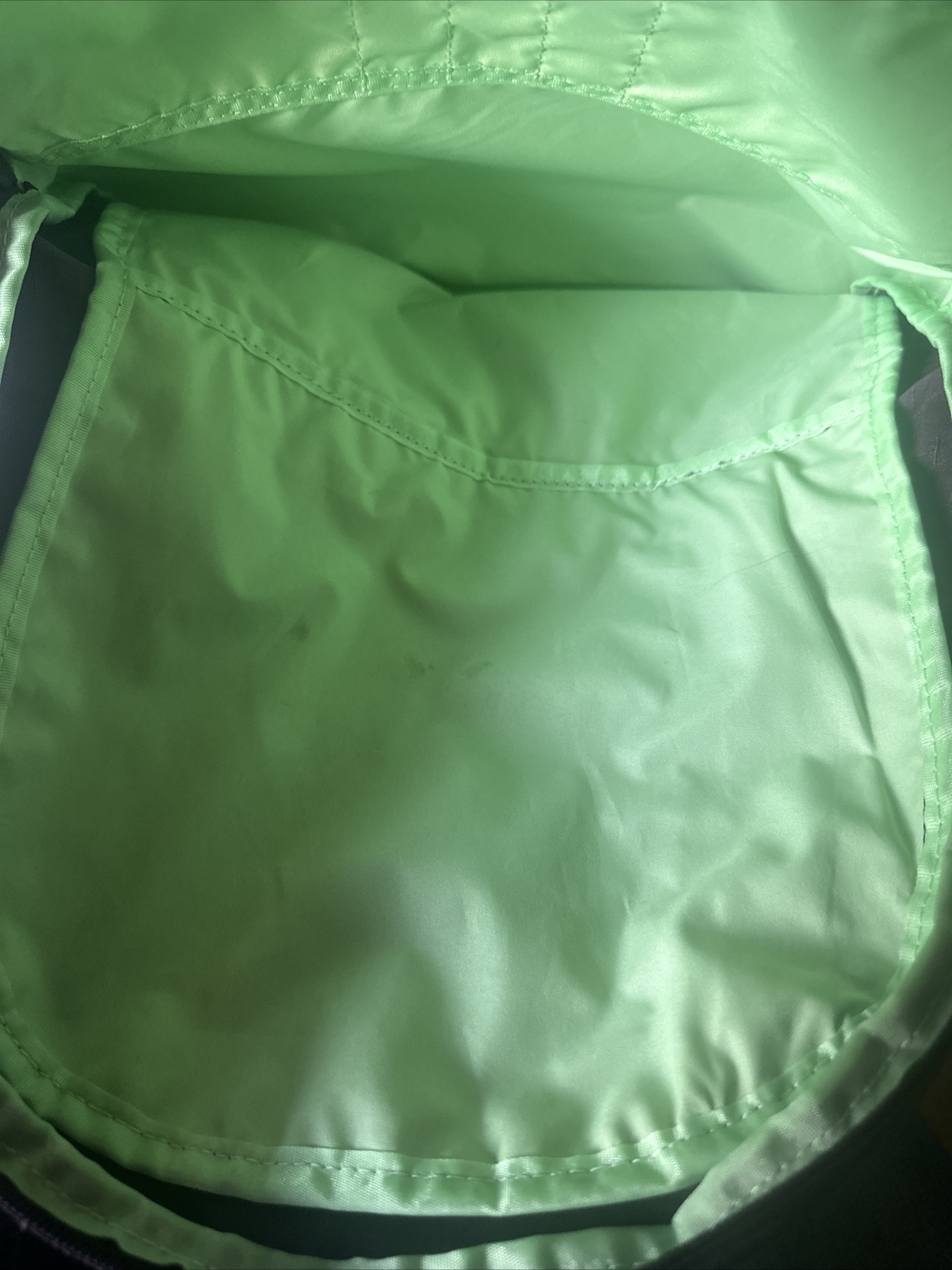 Dakine Essentials 22 Liter Laptop Backpack Plum