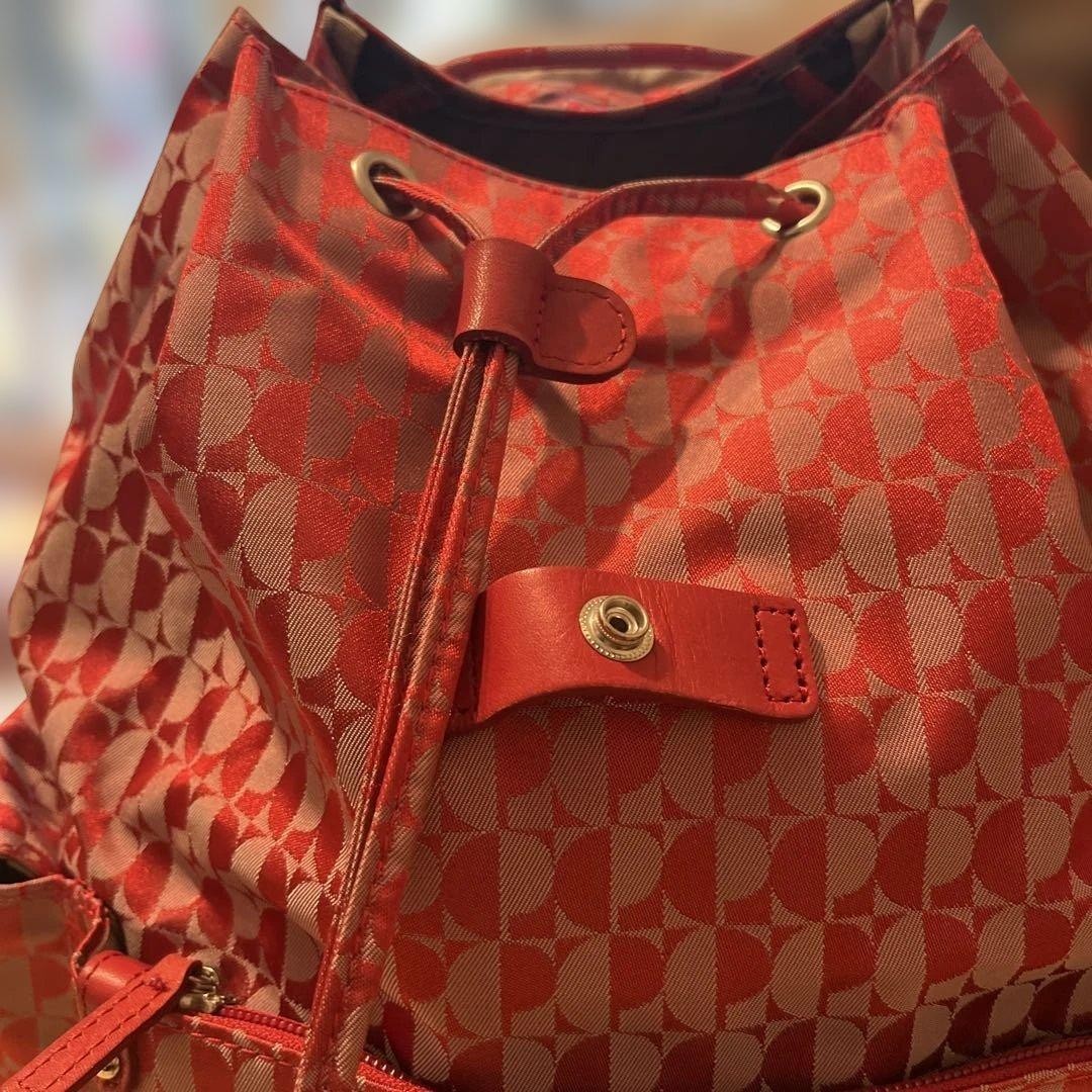 Pierre Cardin Disposer Bag