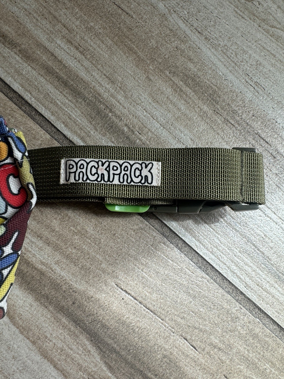 PACKPACK Multicolor Logo Belt Bag Fanny Pack Adjustable Green Strap Buckle