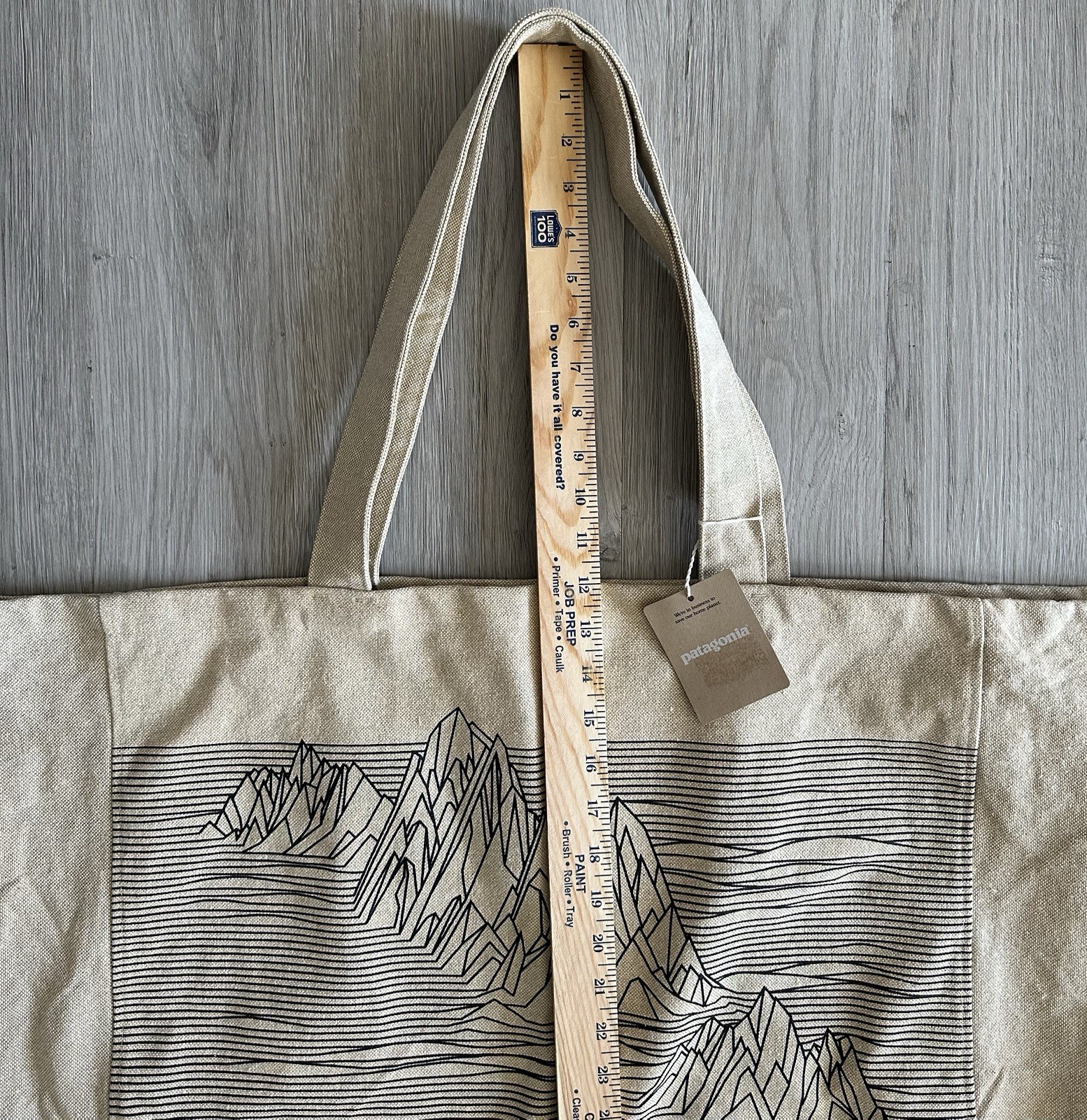 Patagonia Tote Bag Fitz Roy Mountain Extra Large Canvas Eco Beach Grocery NWT