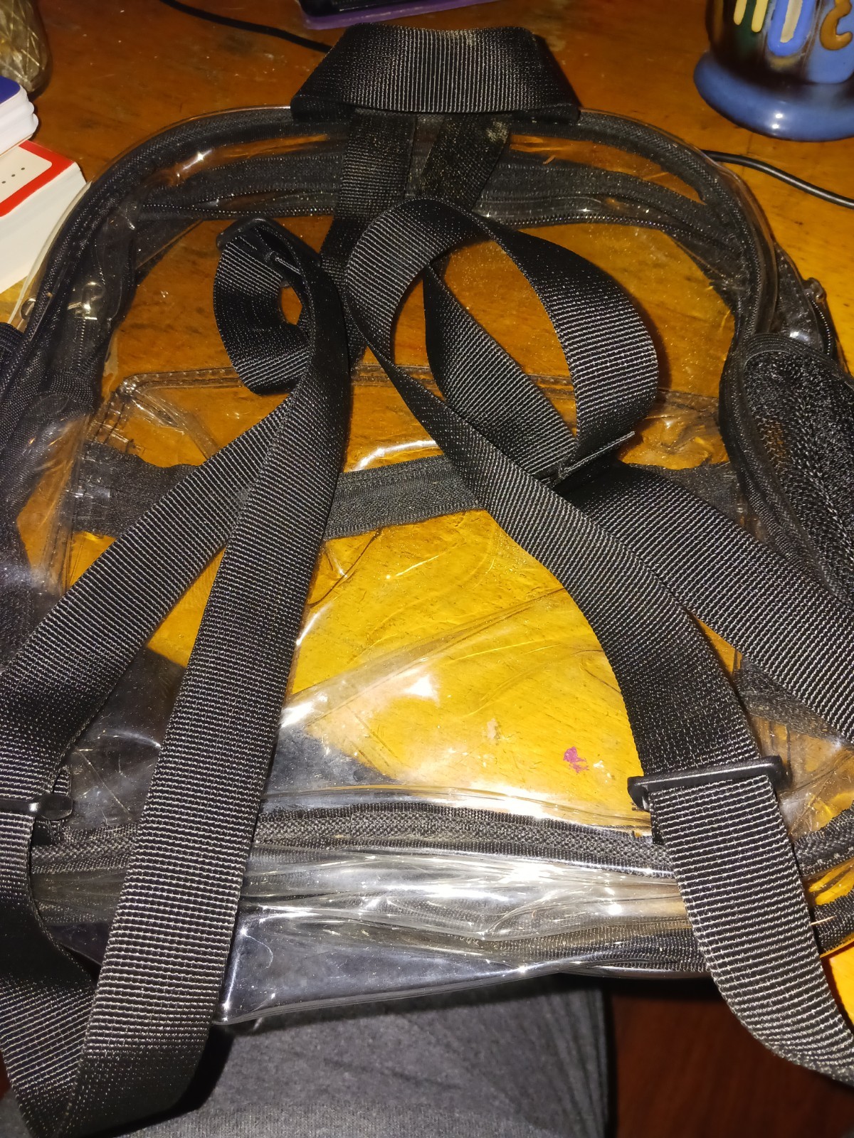Clear Plastic Zipper Backpqck with Black Trim 12x9in Used Normal Wear See Pics
