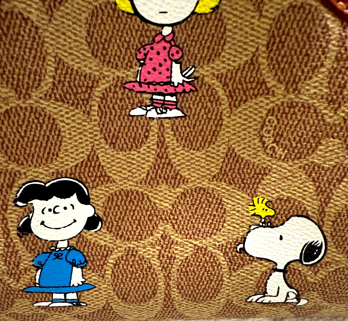NEW COACH X PEANUTS CBF74 Willow Tote 18, Signature Canvas Removable Pouch