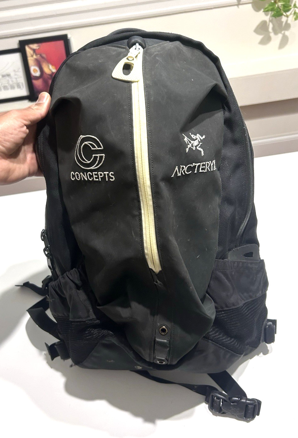 🔥 RARE Arcteryx CONCEPTS Backpack ARRO 22 Bag Hiking WATERPROOF 💥