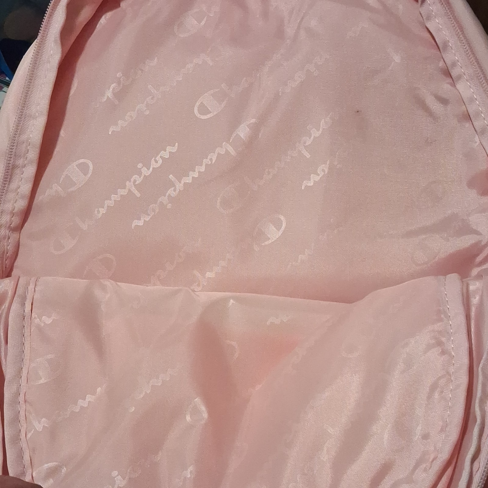 Champion Pink Backpack Zip Closure Padded Straps Bottle Pocket Travel Casual