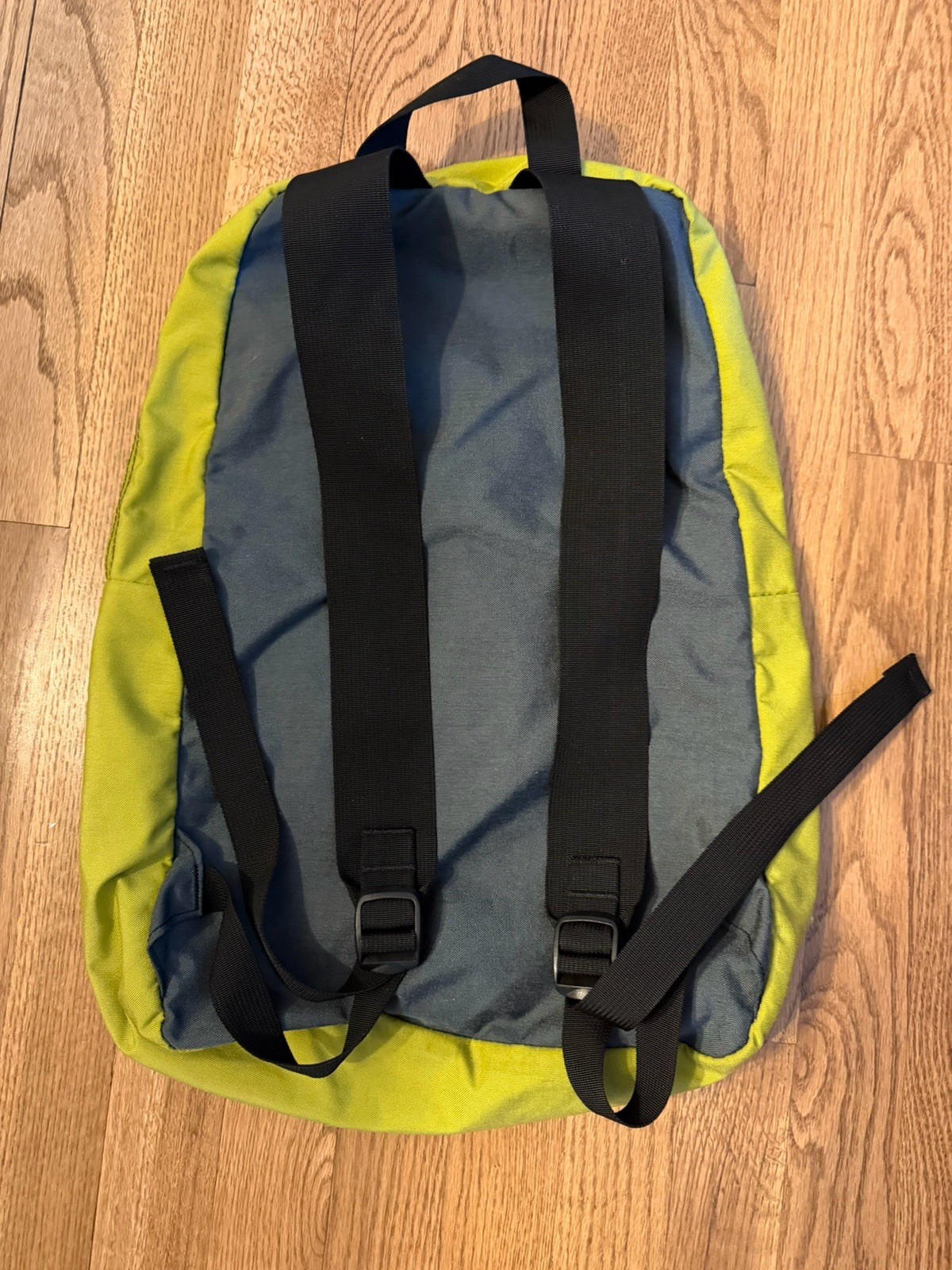 TOM BIHN Early Design Daylight Backpack – Wasabi and Steel Cordura