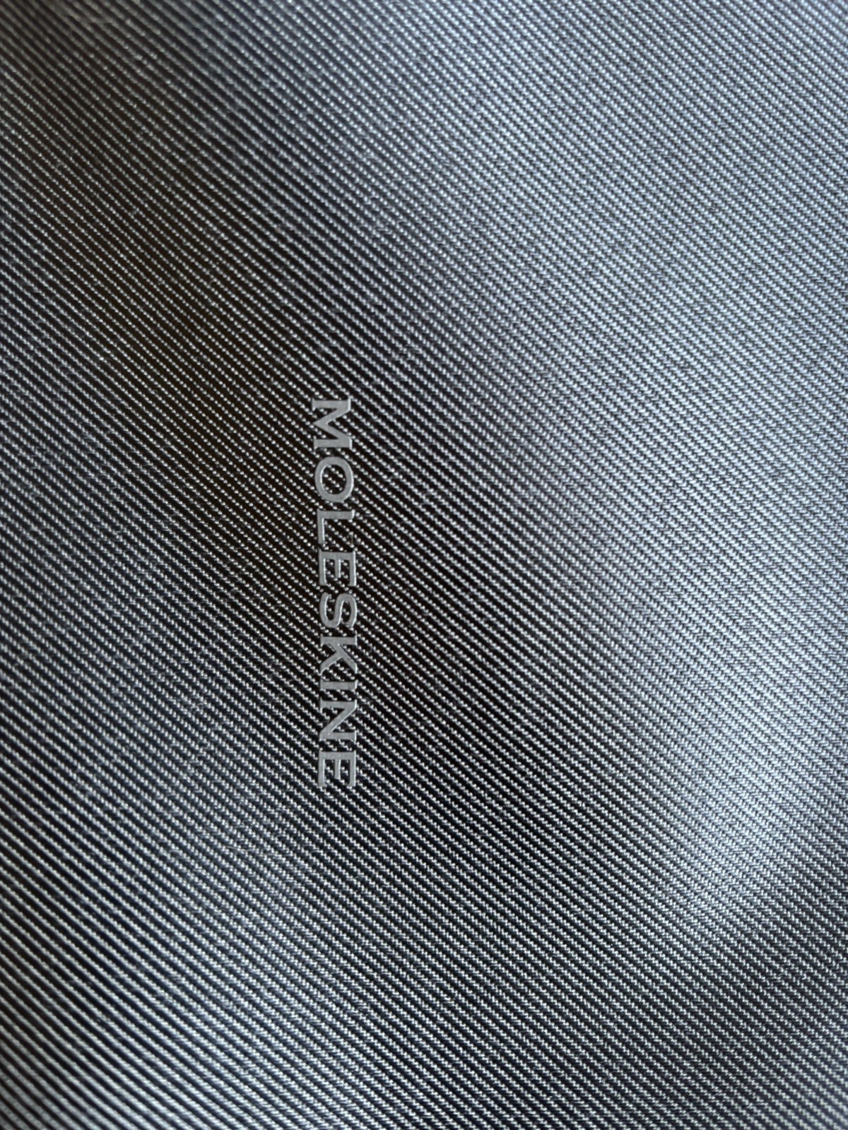 Moleskine Vertical Backpack Dark Gray Water-Repellent 15″ Laptop Bag. slim