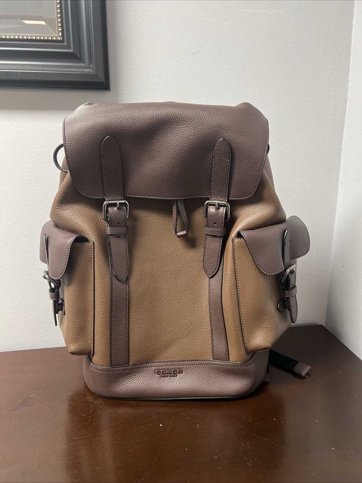 Coach Hudson Leather Backpack Bag Men’s Brown New