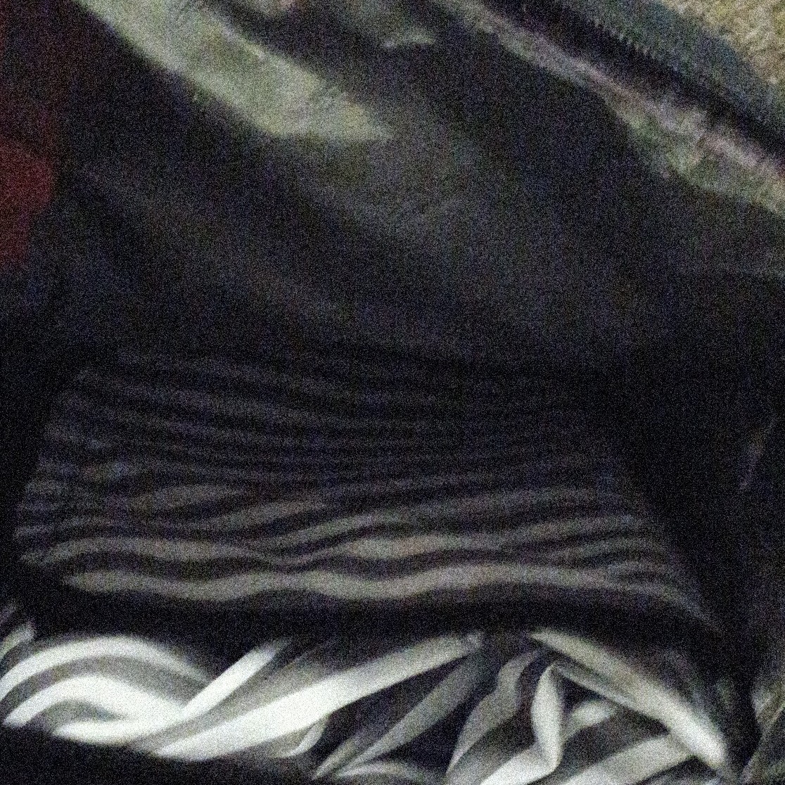 TRAIN ALL IN ONE PINIC BACKPACK