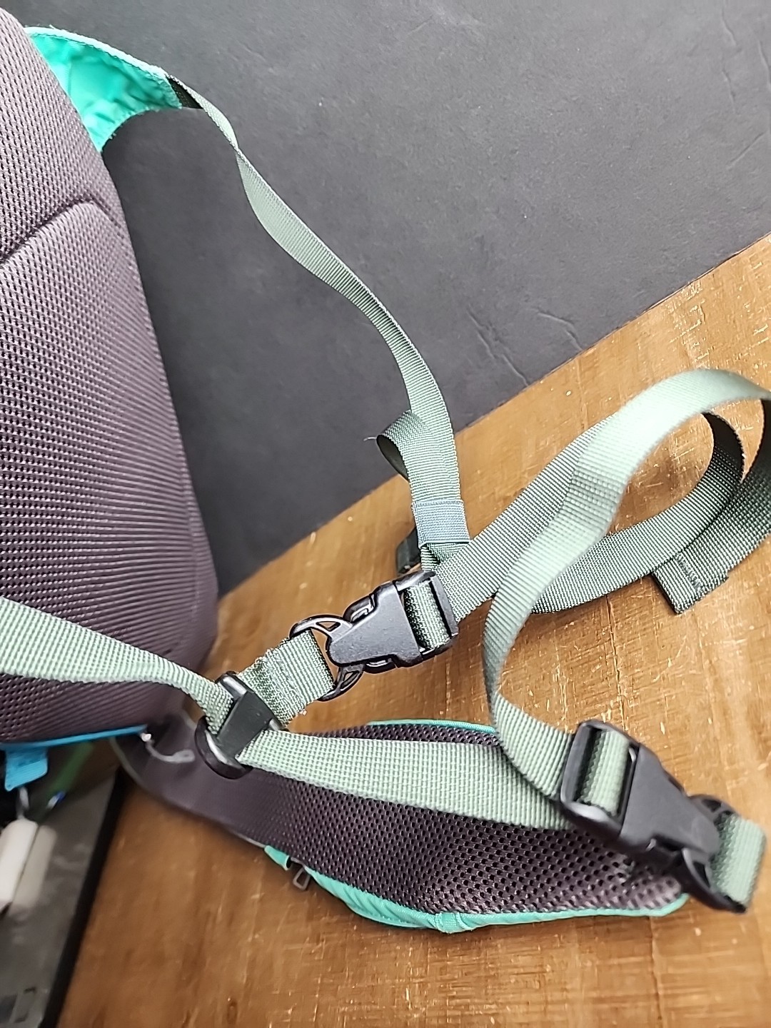 Patagonia Crossbody Sling Strap Backpack Blue/Teal Hiking Travel Outdoor-Read!