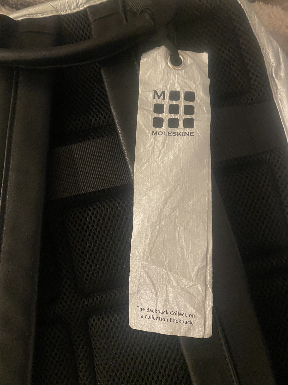 moleskin limited edition Silver Spacesuit moon landing Anniversary Rare backpack