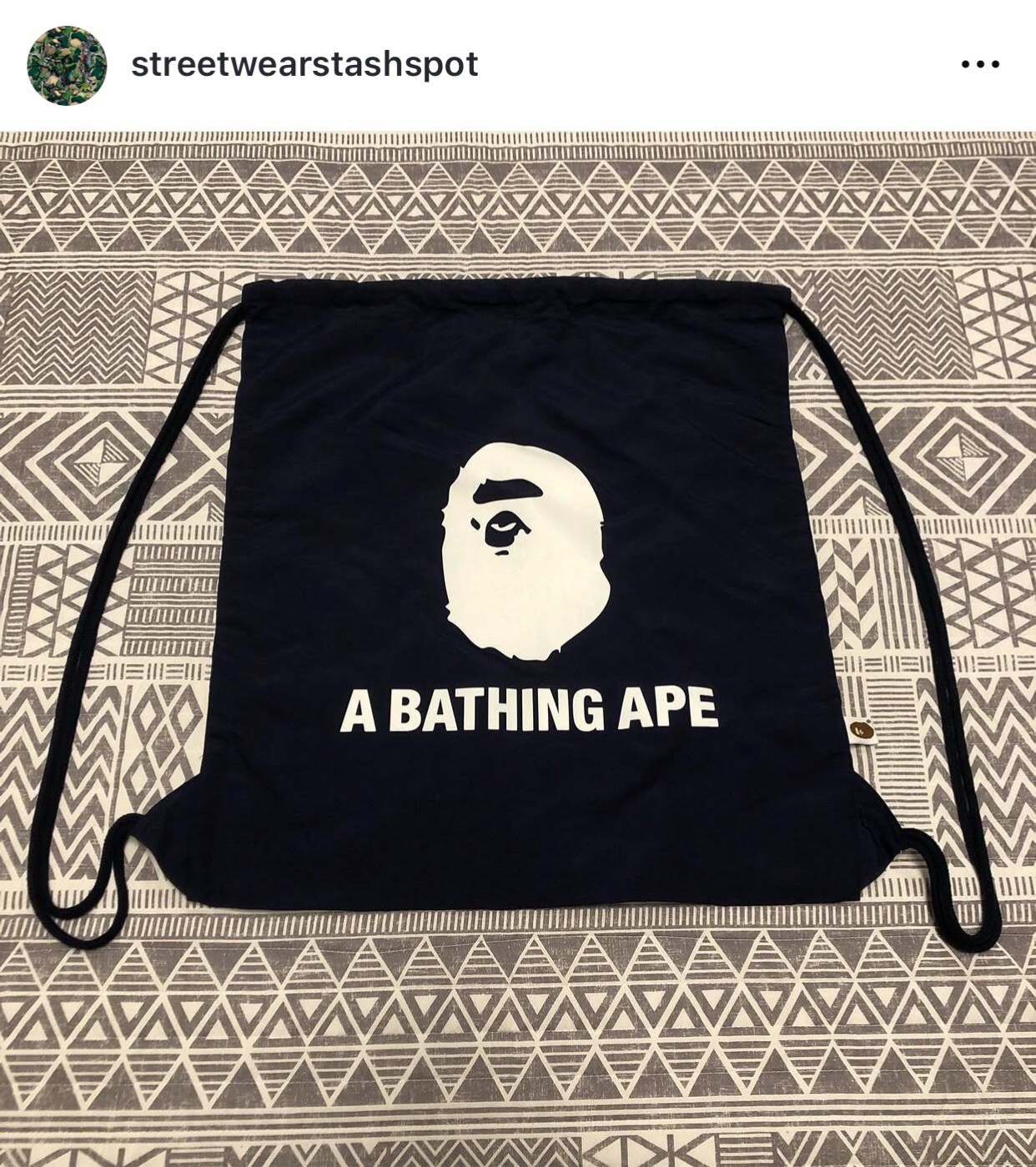 A Bathing Ape Gym Bag Size Free